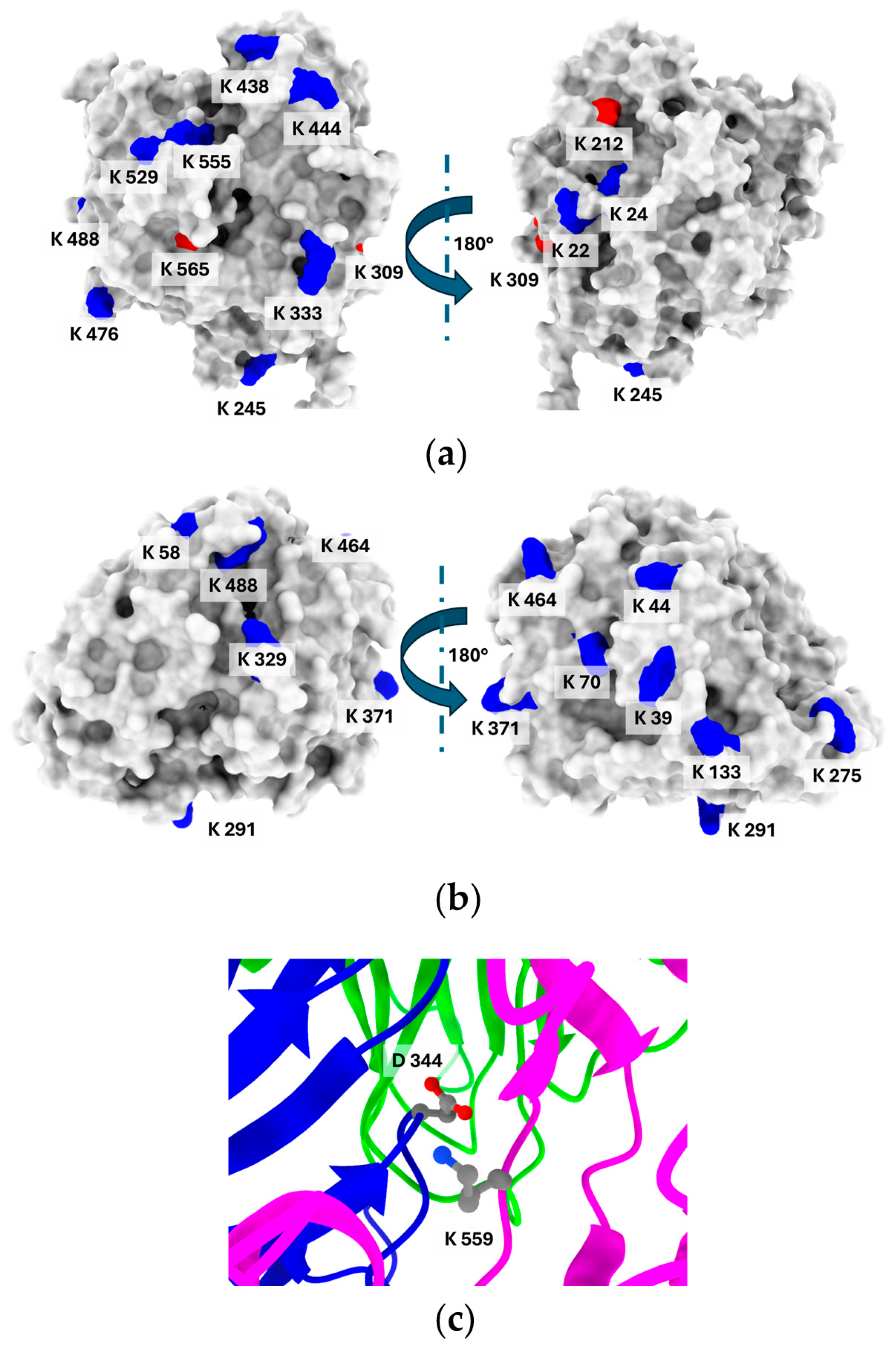 Biomolecules 15 00531 g004 Biomolecules 15 00531 g004