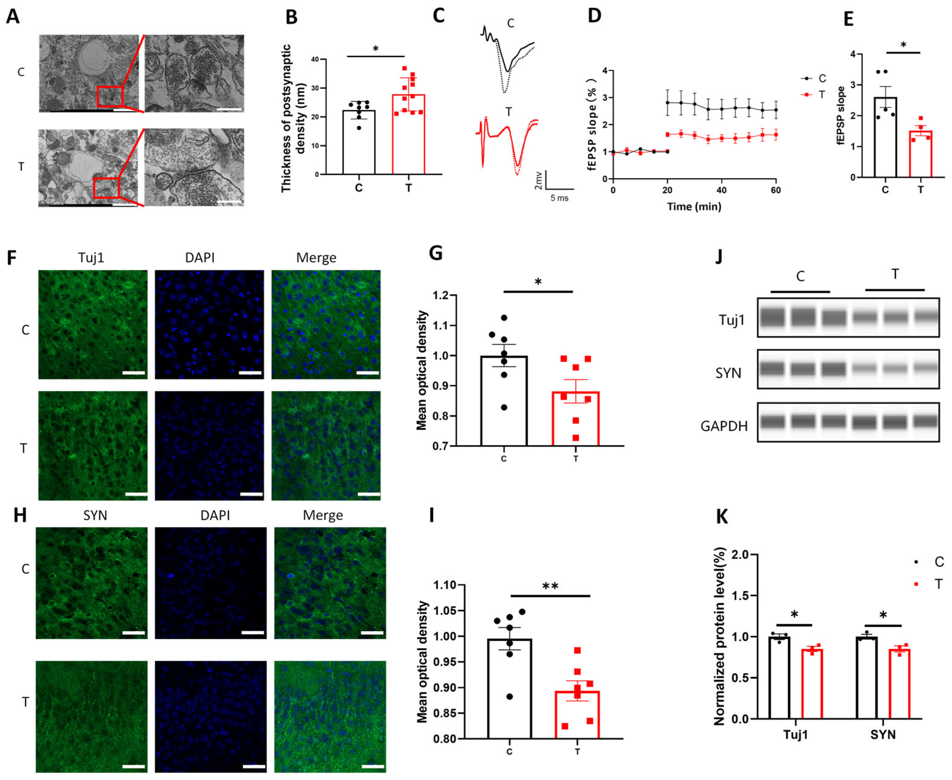 Biomolecules 15 00532 g001