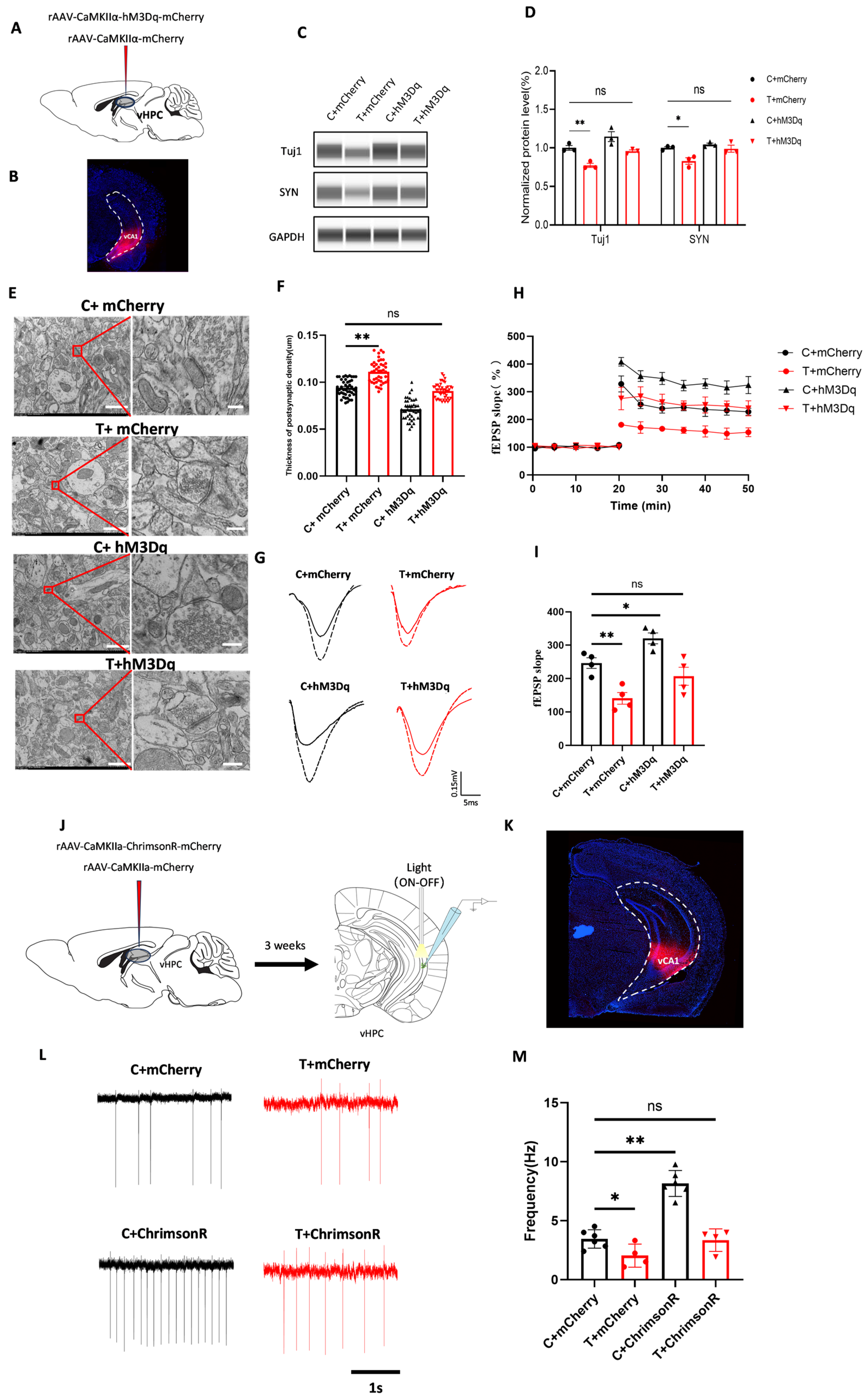 Biomolecules 15 00532 g004