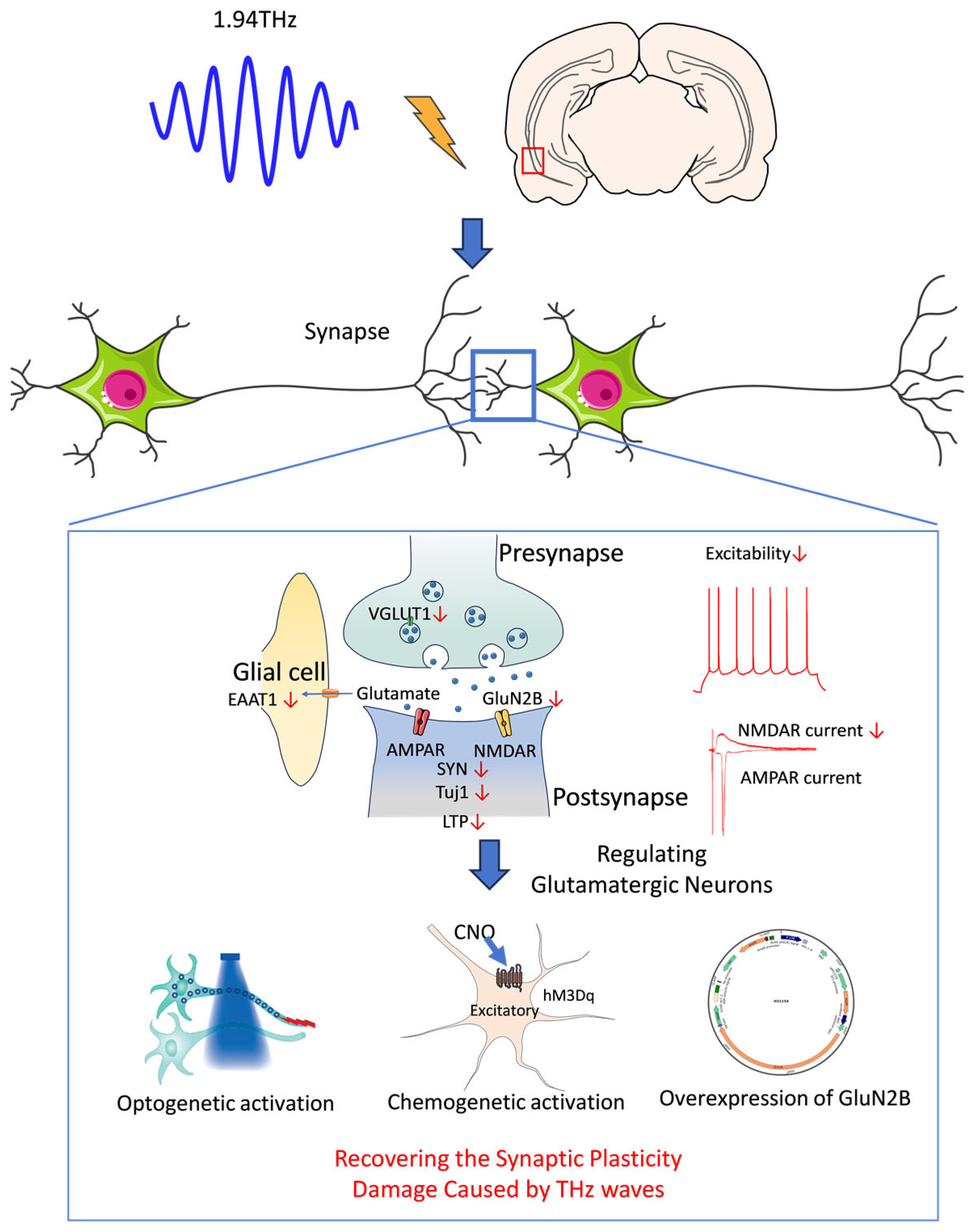 Biomolecules 15 00532 g006