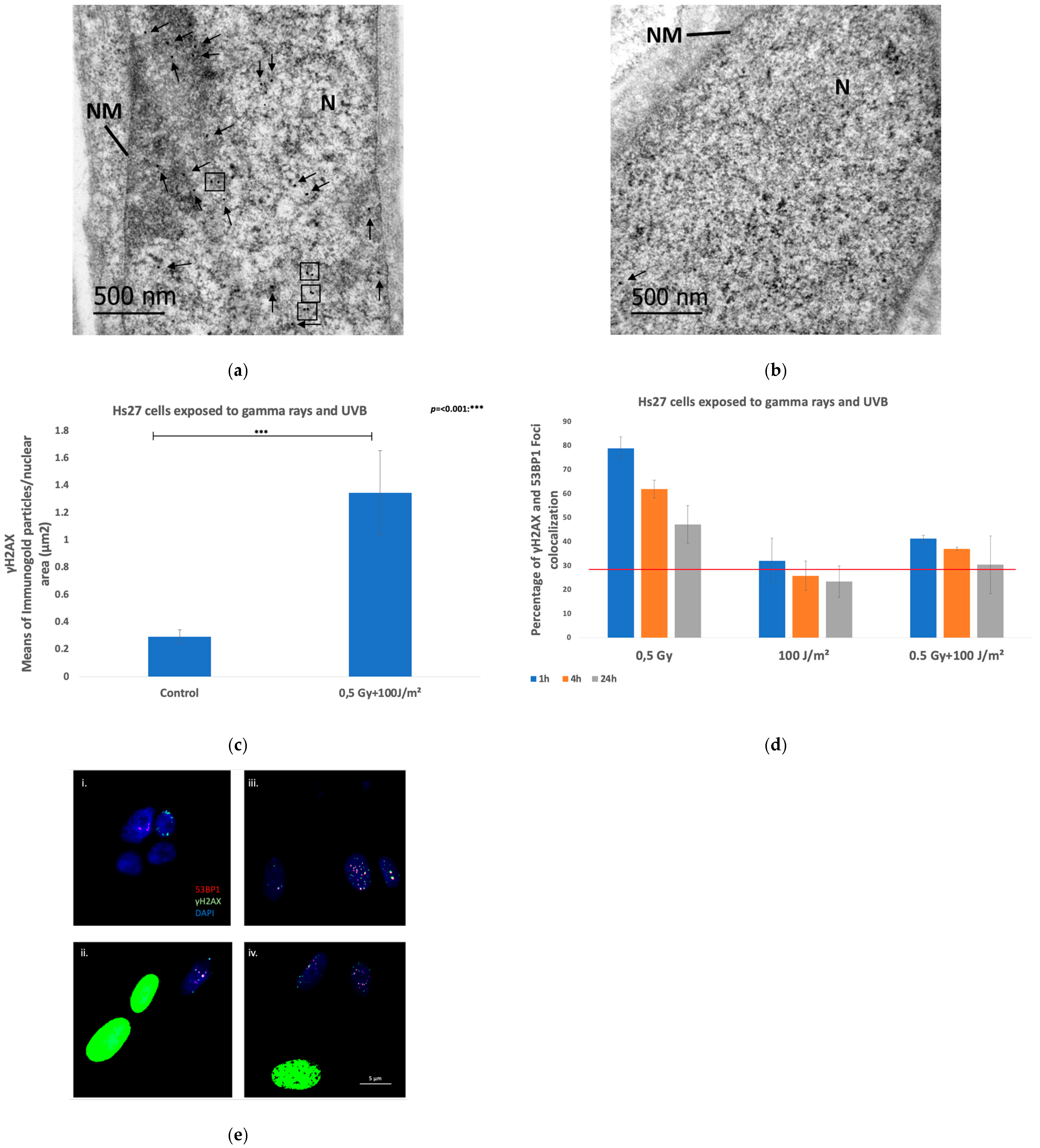 Biomolecules 15 00536 g005