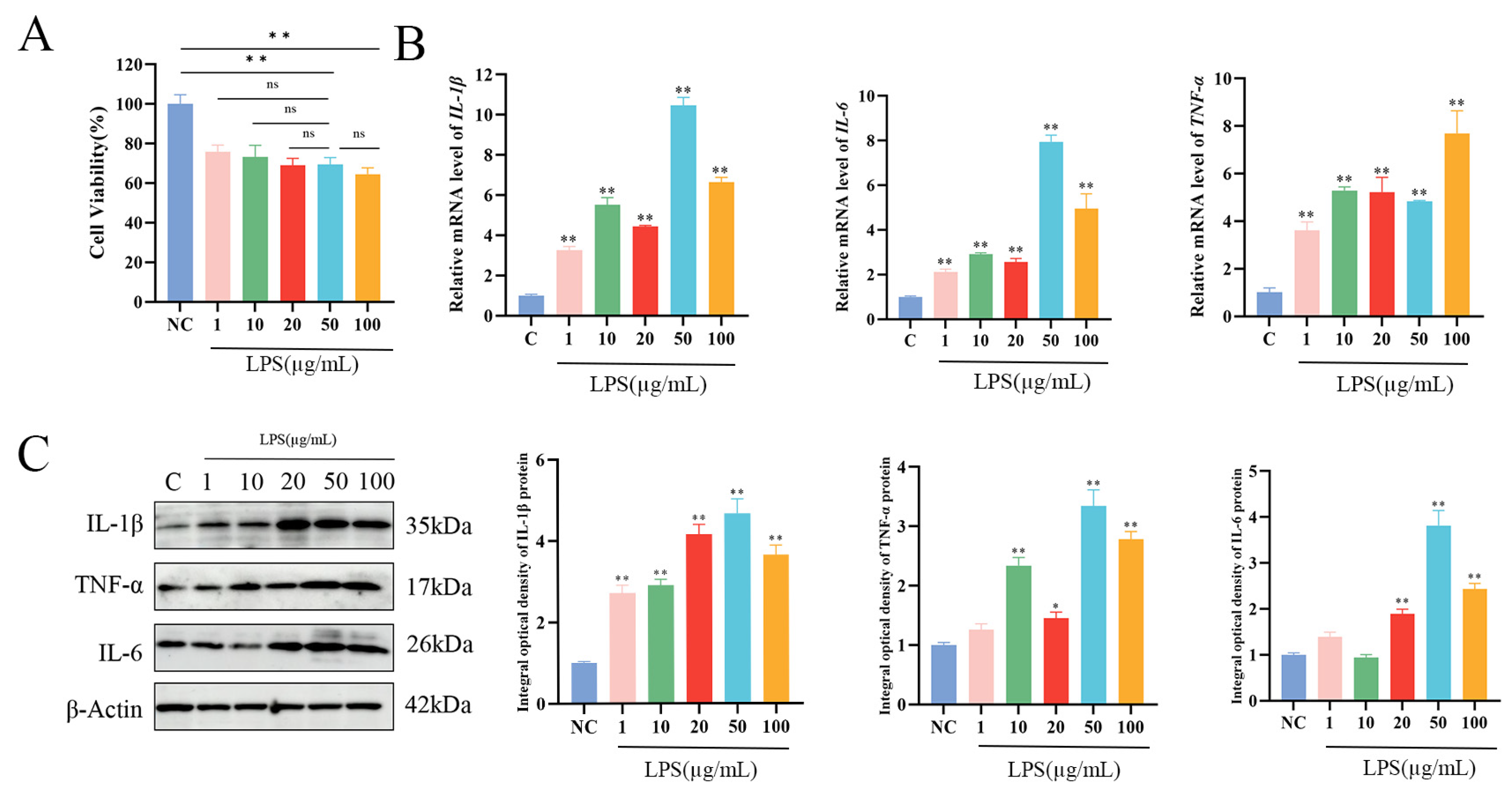 Biomolecules 15 00538 g002