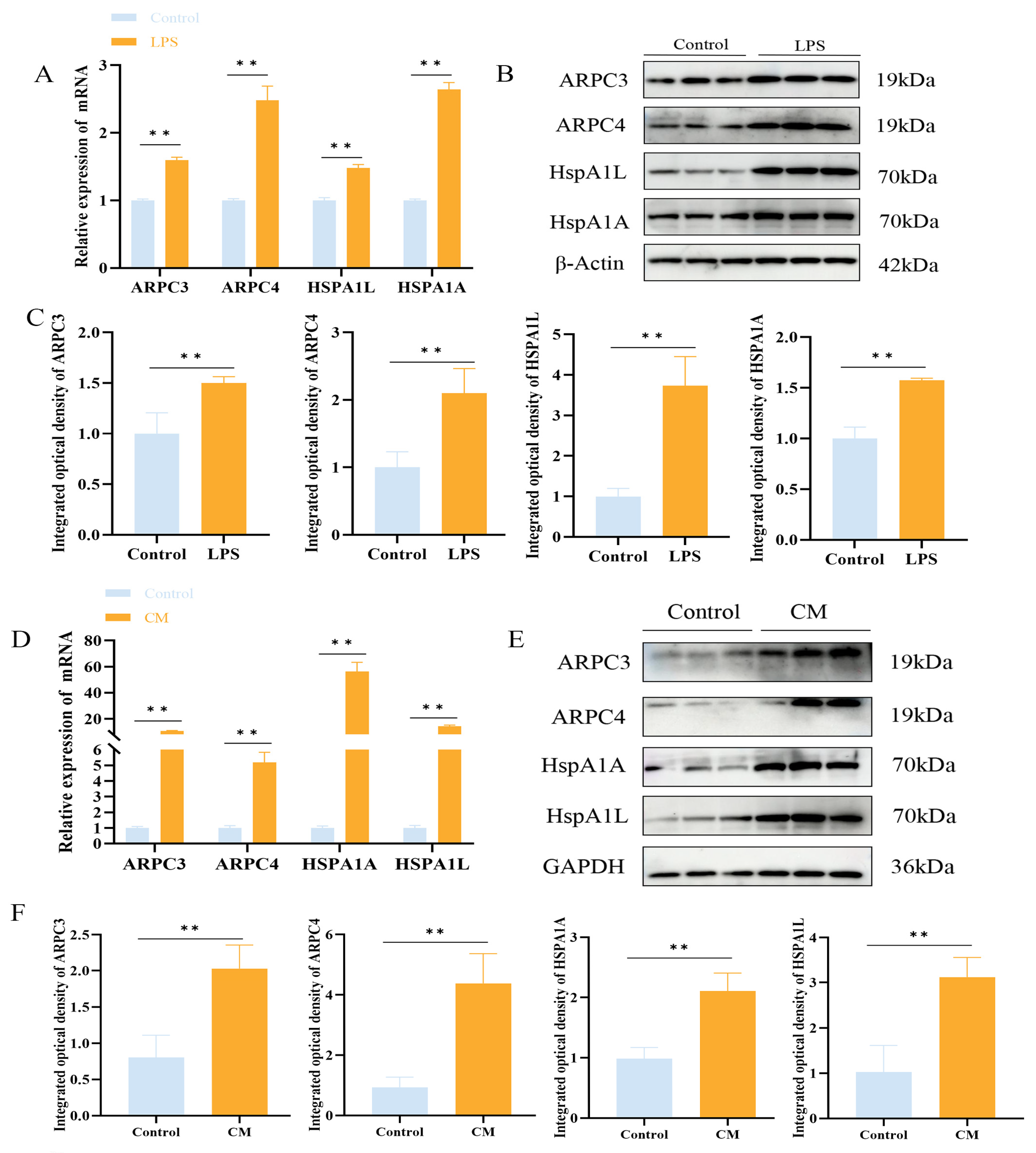 Biomolecules 15 00538 g004