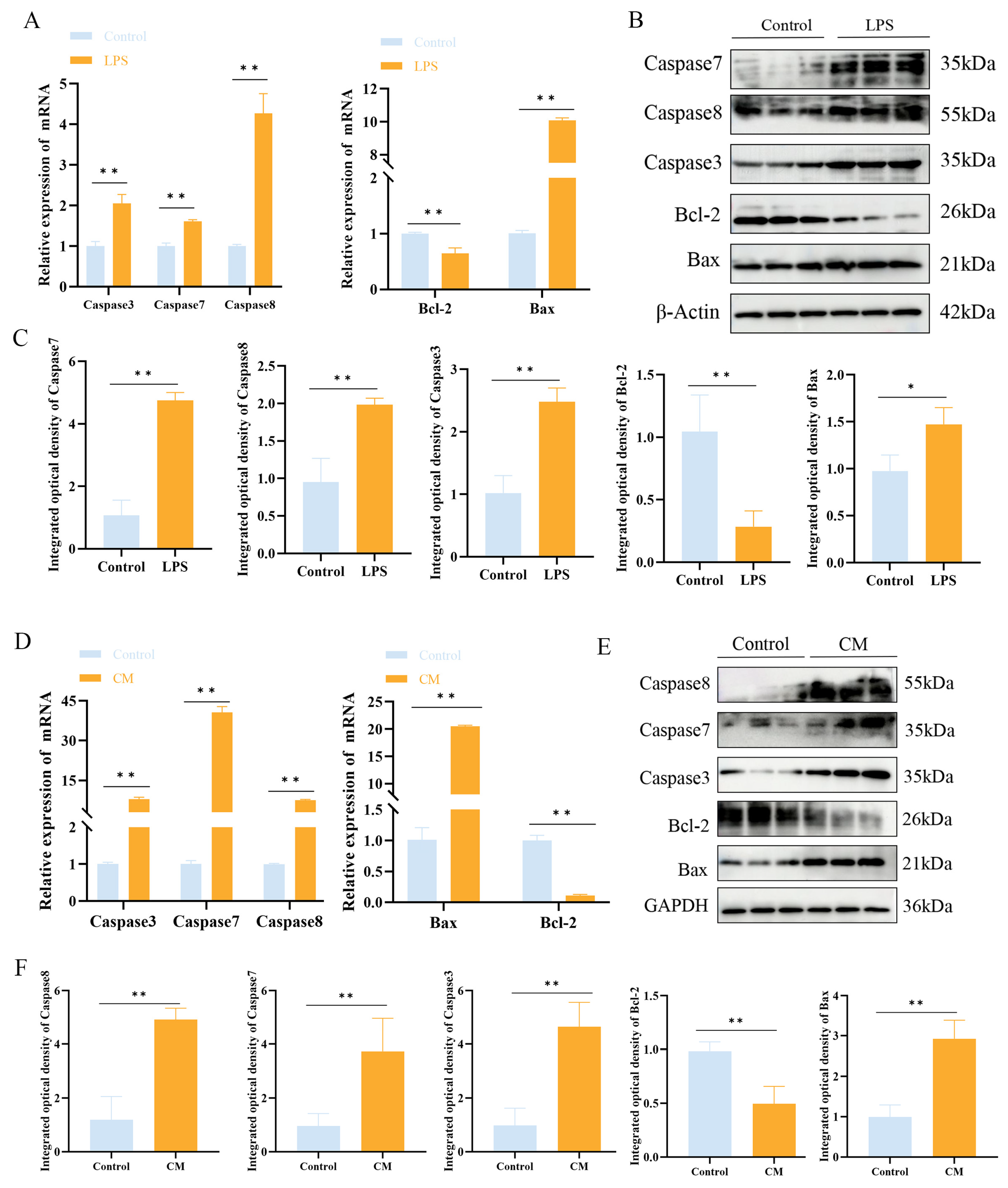 Biomolecules 15 00538 g005