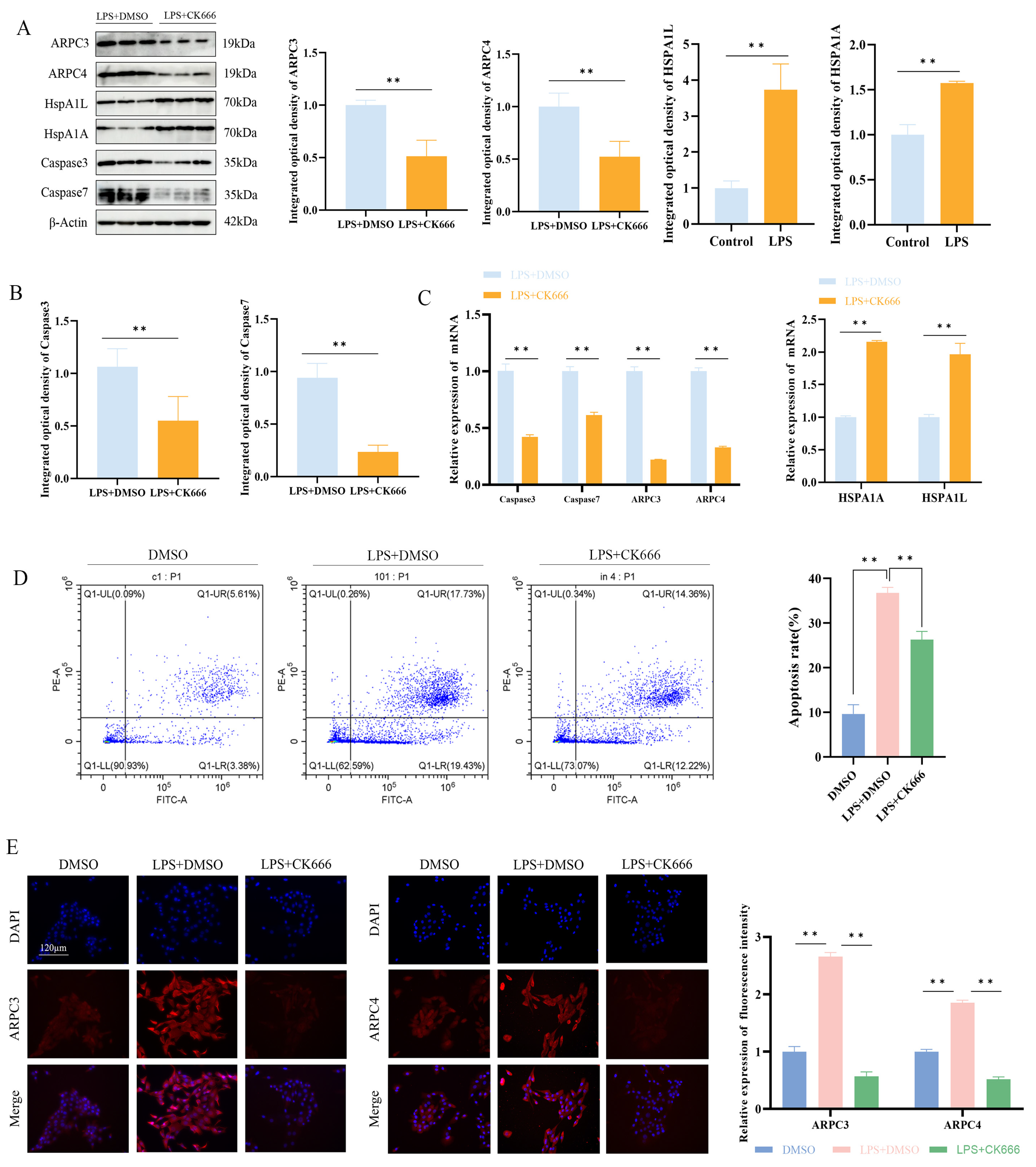 Biomolecules 15 00538 g007