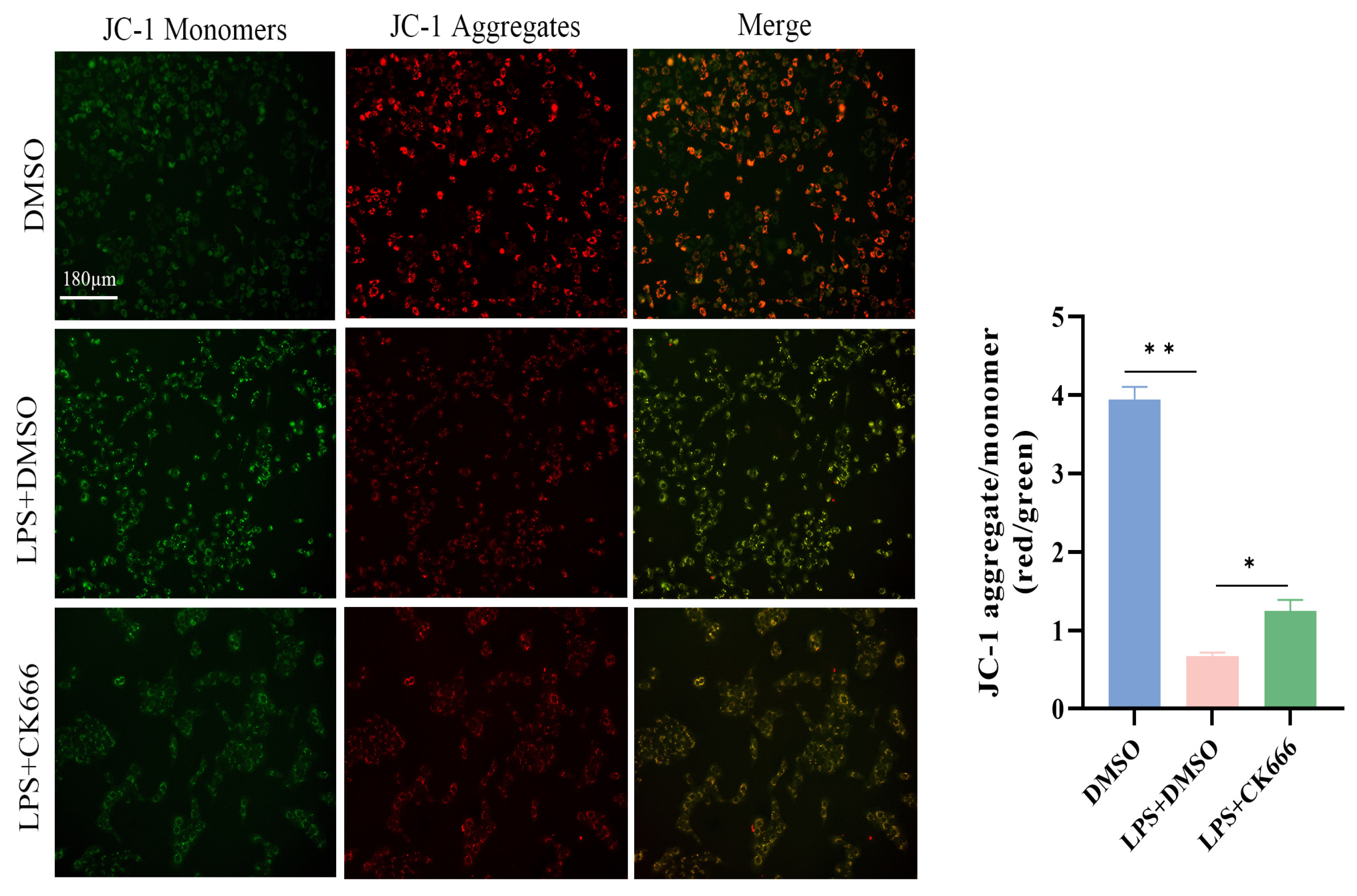 Biomolecules 15 00538 g008
