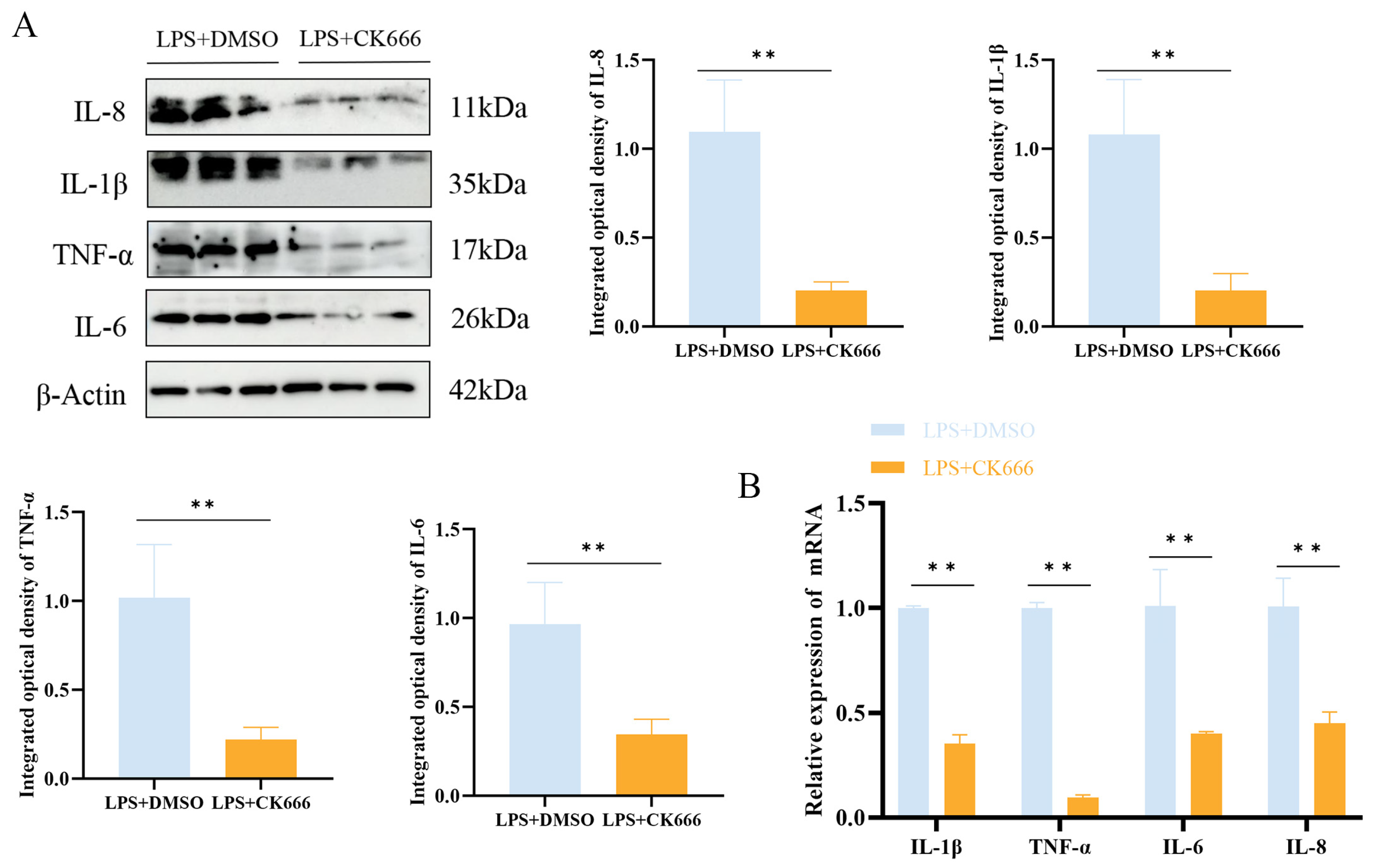 Biomolecules 15 00538 g009