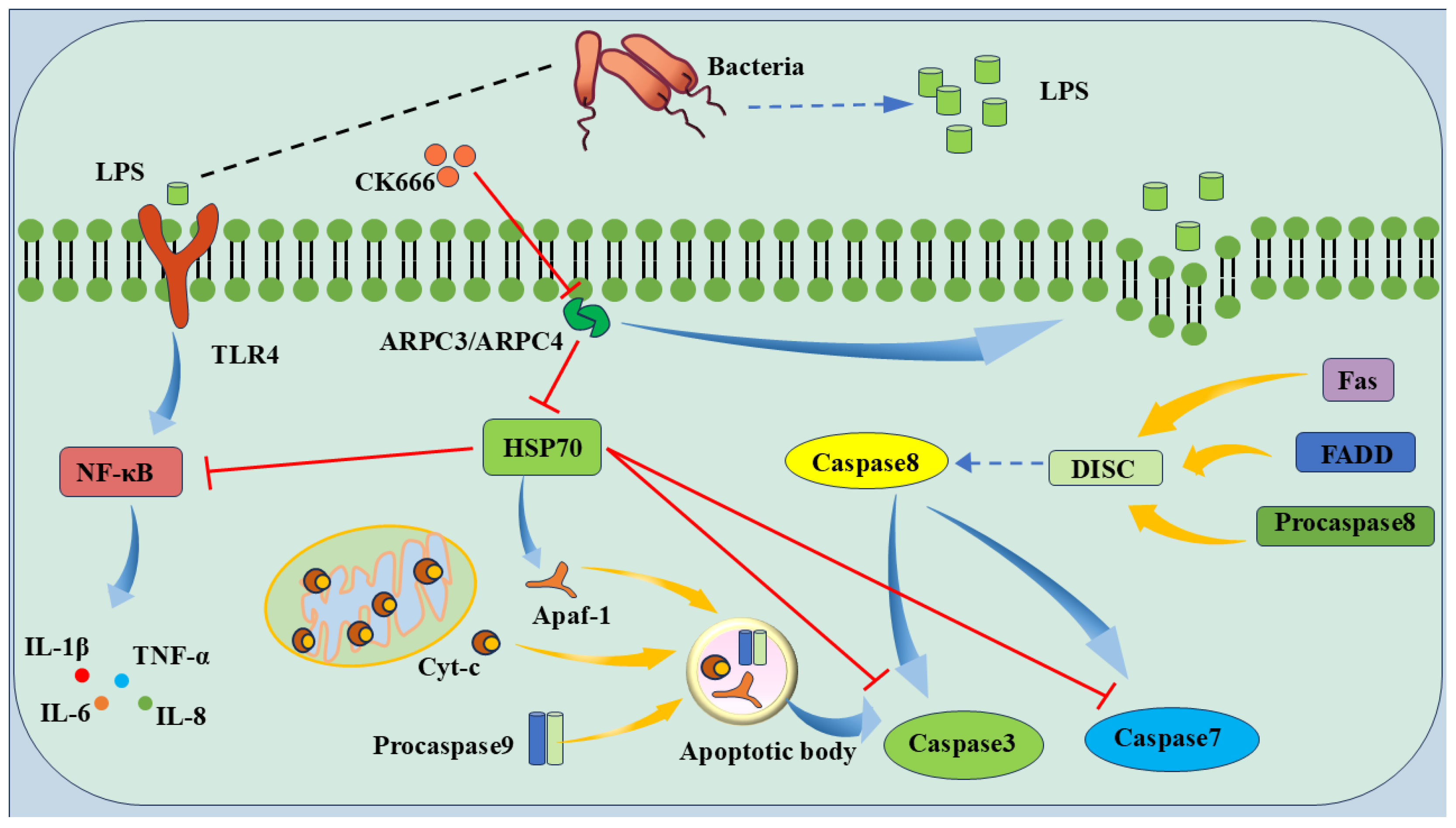 Biomolecules 15 00538 g010
