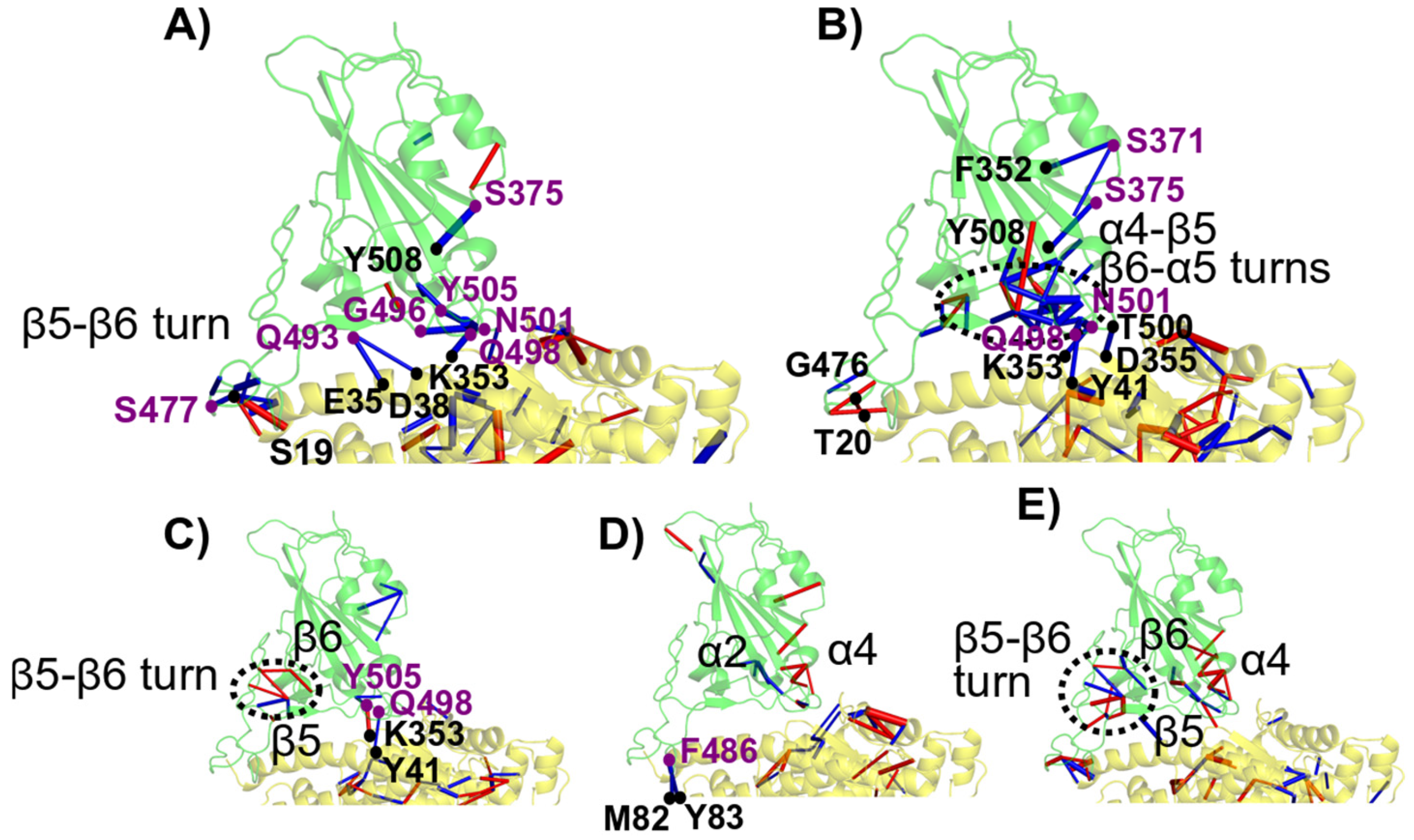 Biomolecules 15 00541 g008