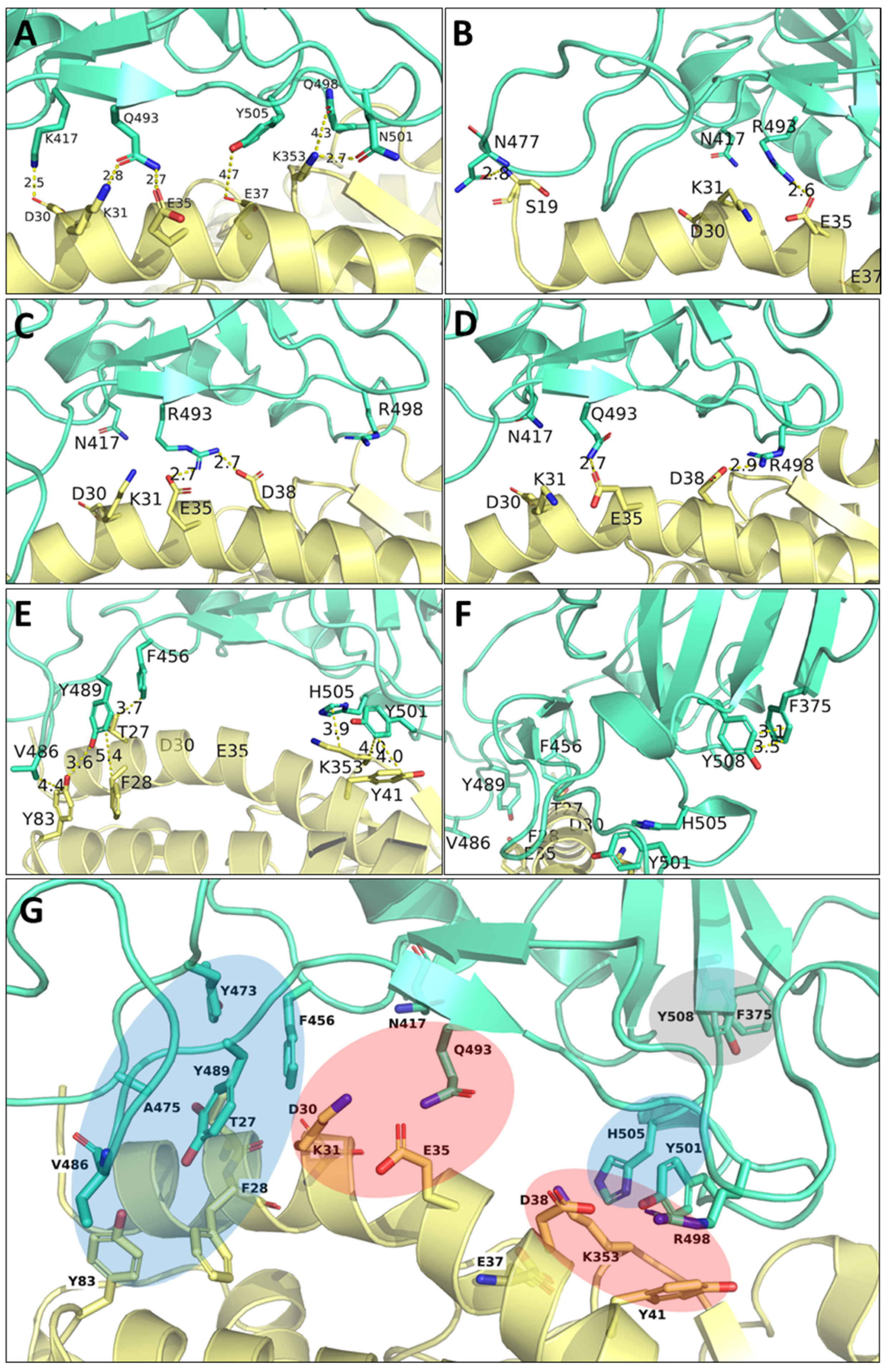Biomolecules 15 00541 g010