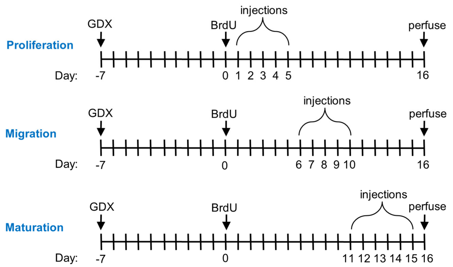 Biomolecules 15 00542 g001 Biomolecules 15 00542 g001