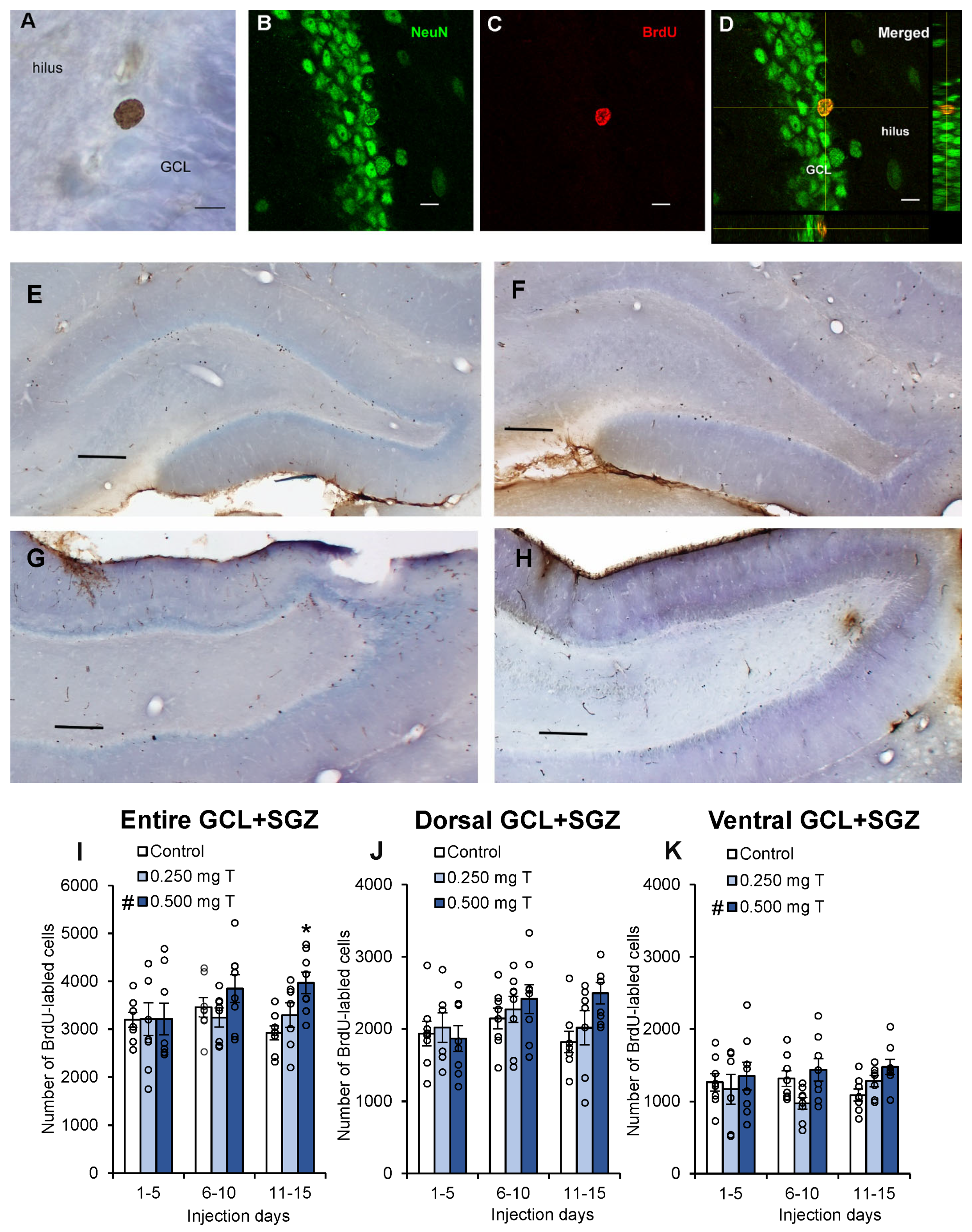 Biomolecules 15 00542 g002 Biomolecules 15 00542 g002