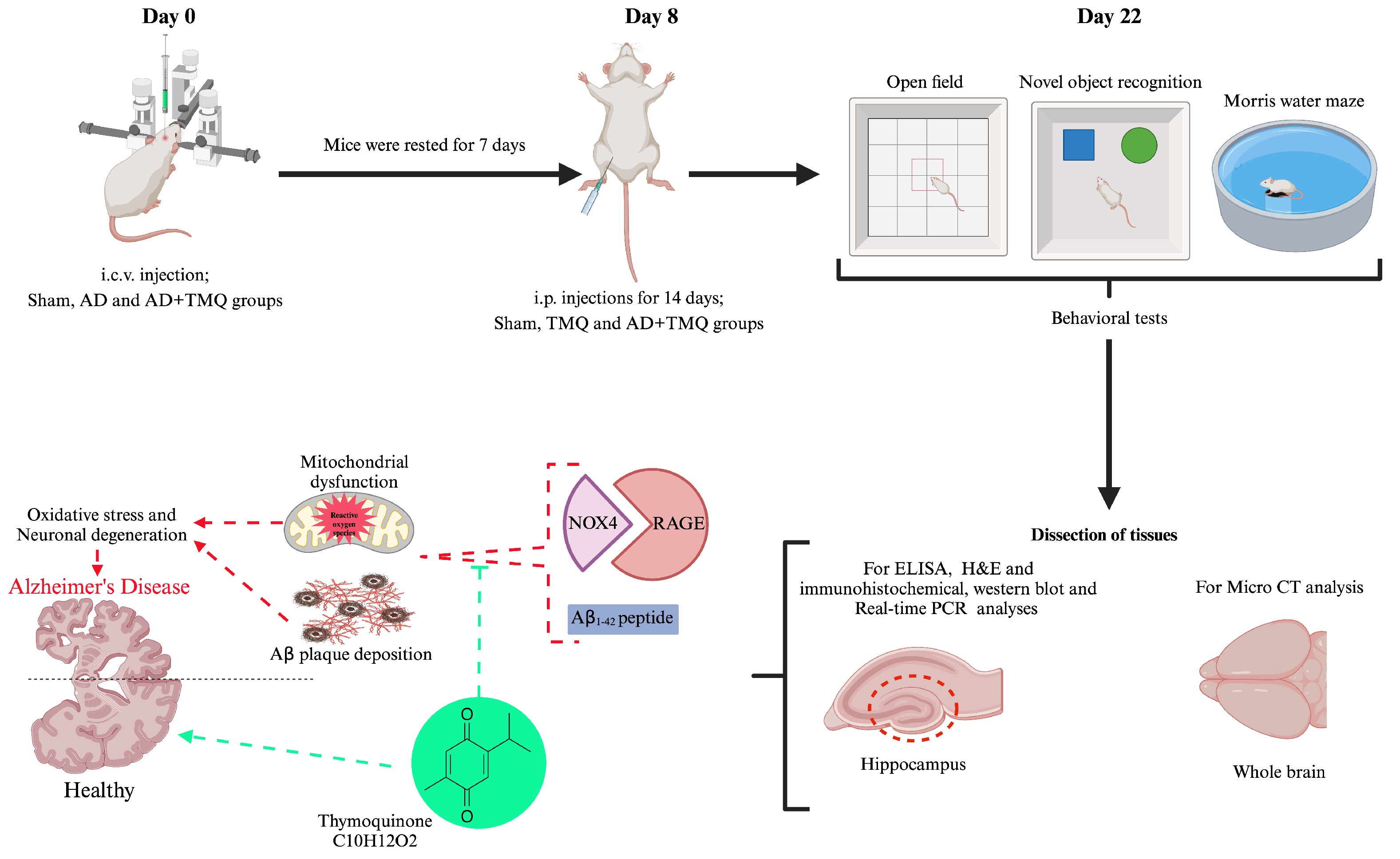 Biomolecules 15 00543 g001