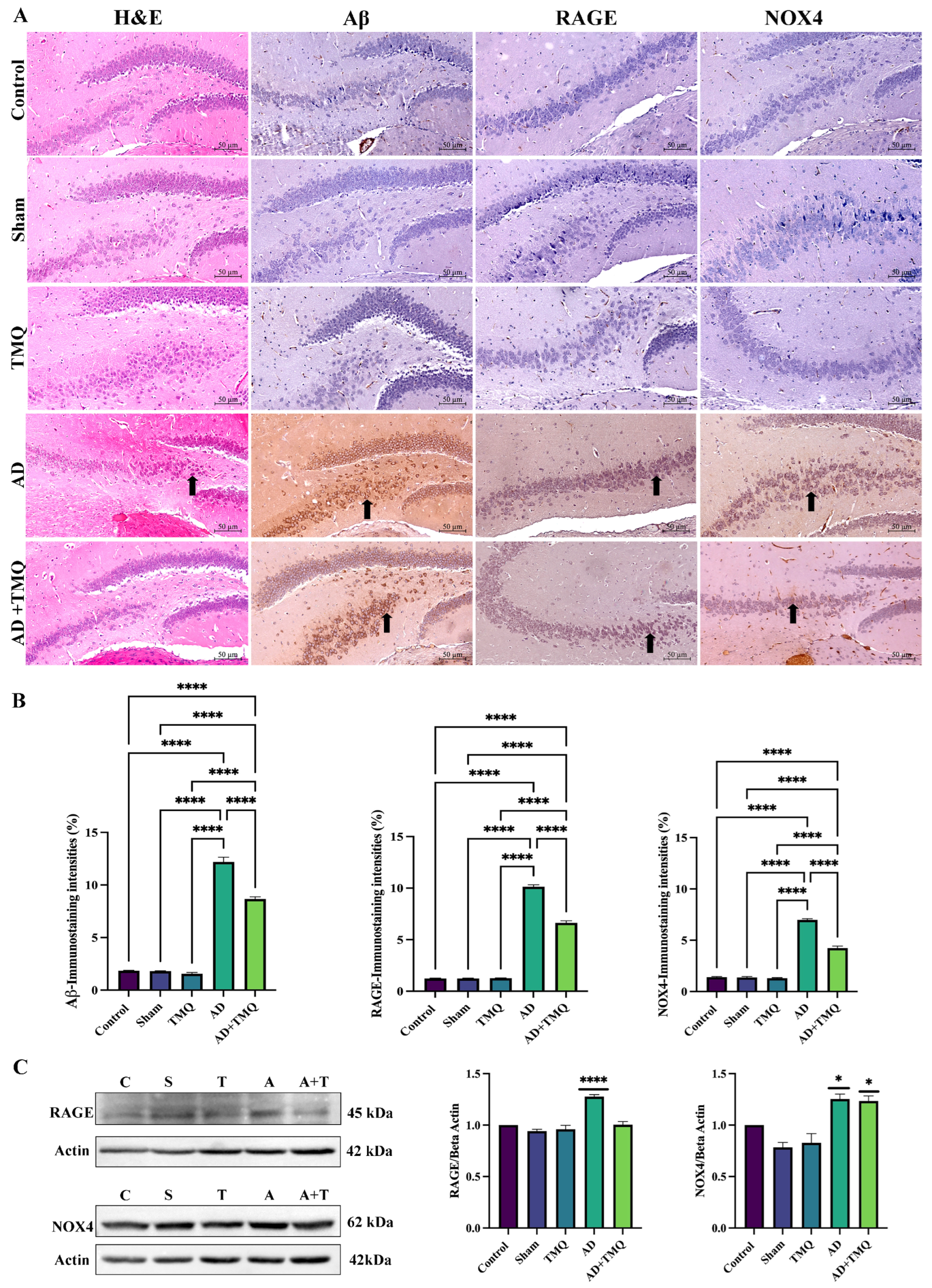 Biomolecules 15 00543 g005