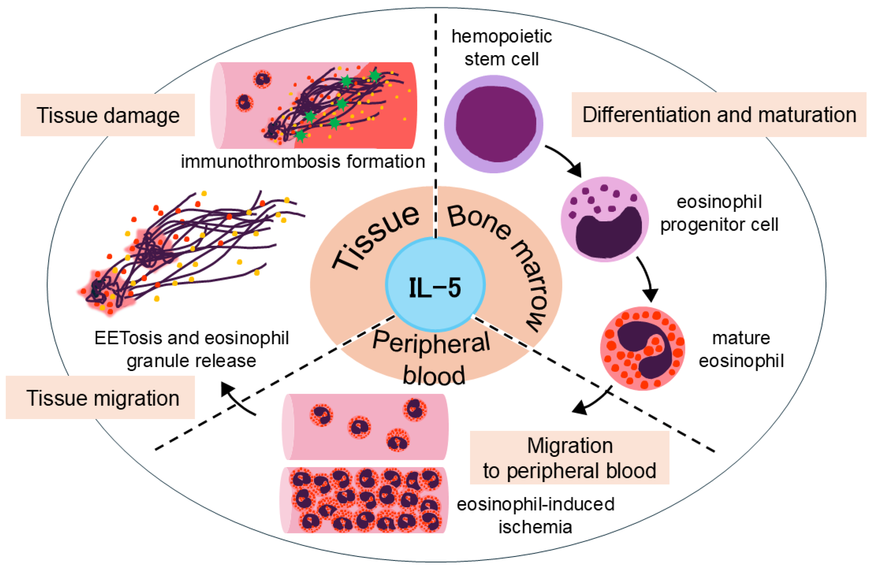Biomolecules 15 00544 g002
