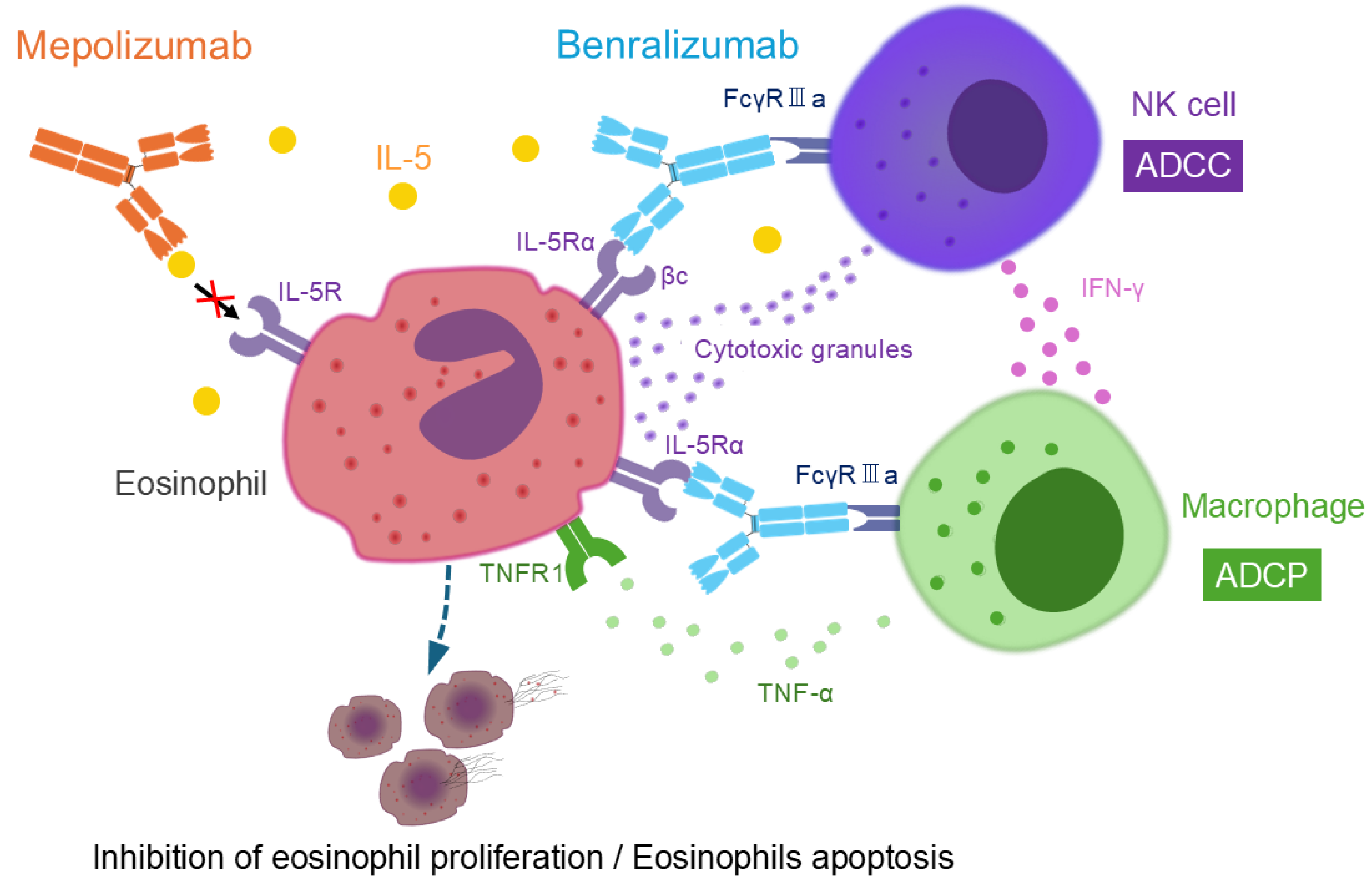 Biomolecules 15 00544 g003
