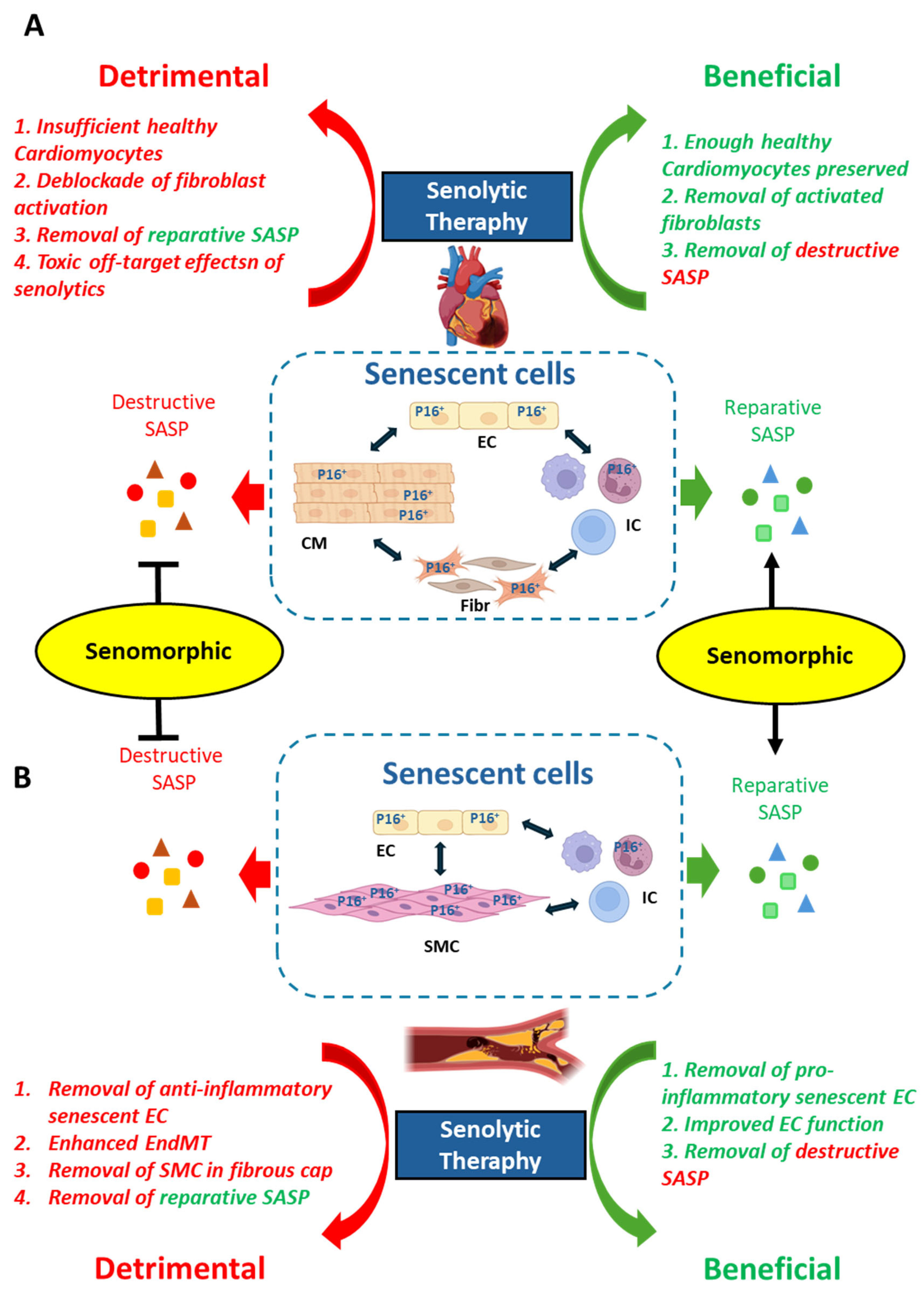 Biomolecules 15 00545 g001
