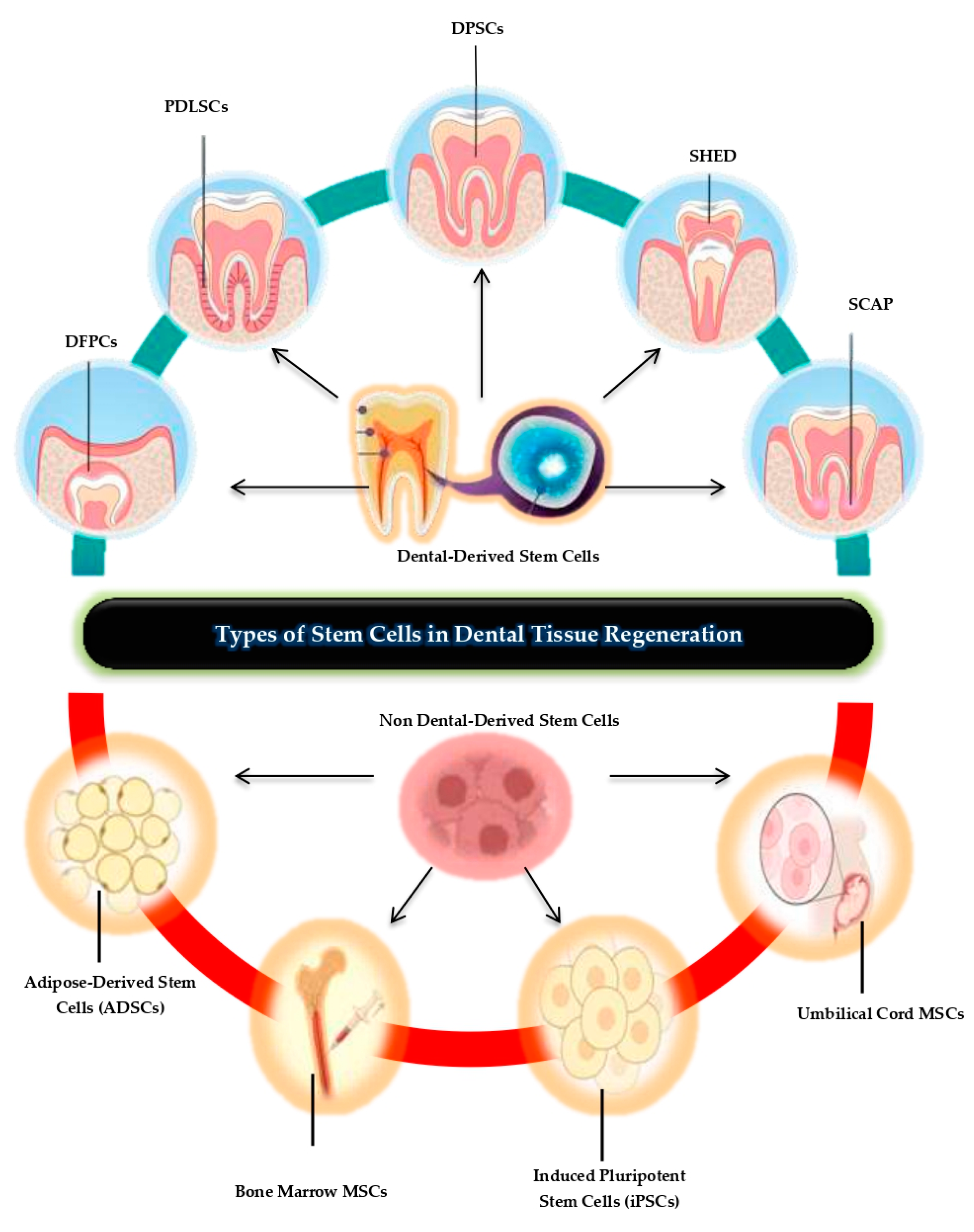 Biomolecules 15 00546 g001 Biomolecules 15 00546 g001