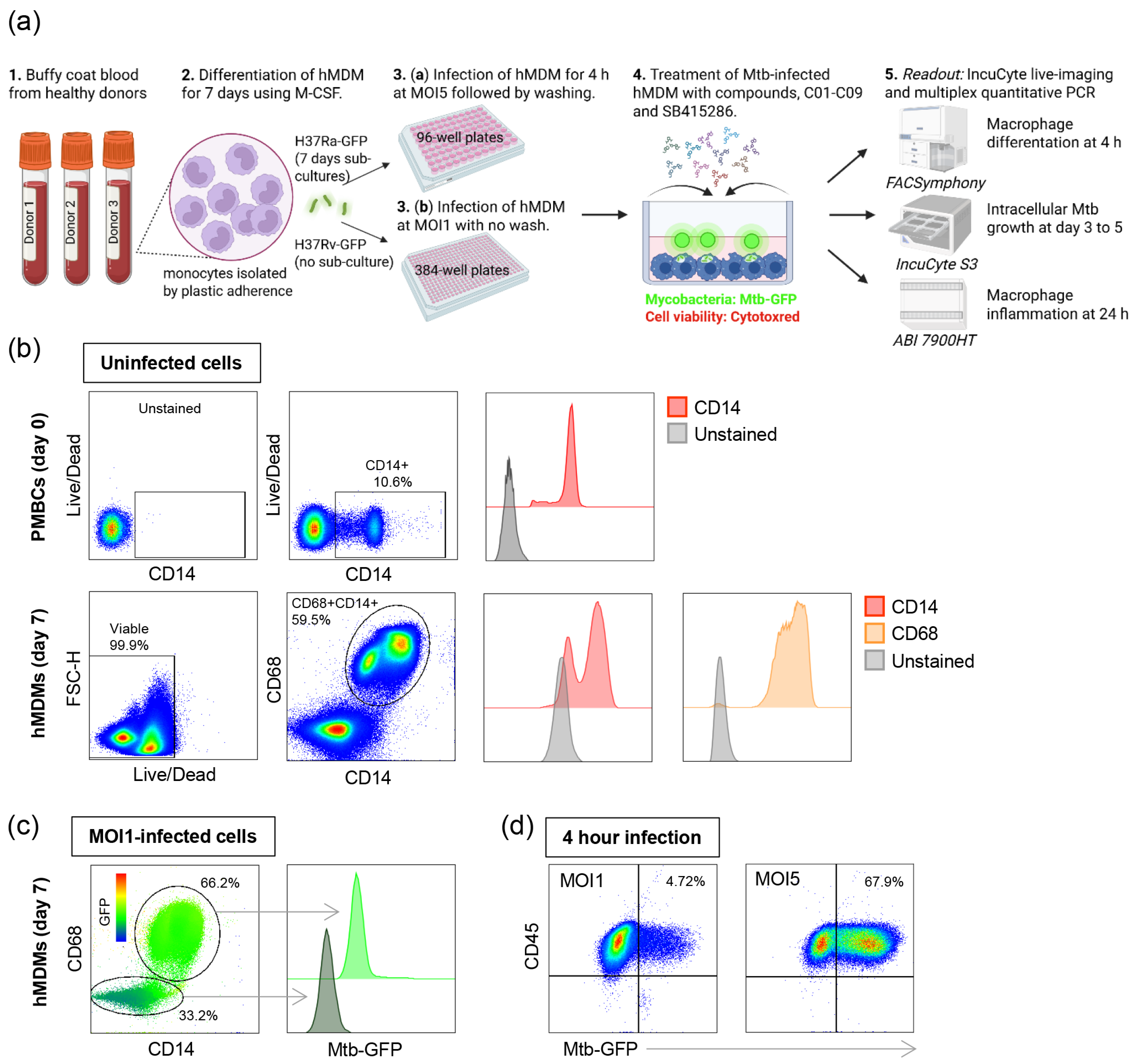 Biomolecules 15 00550 g001