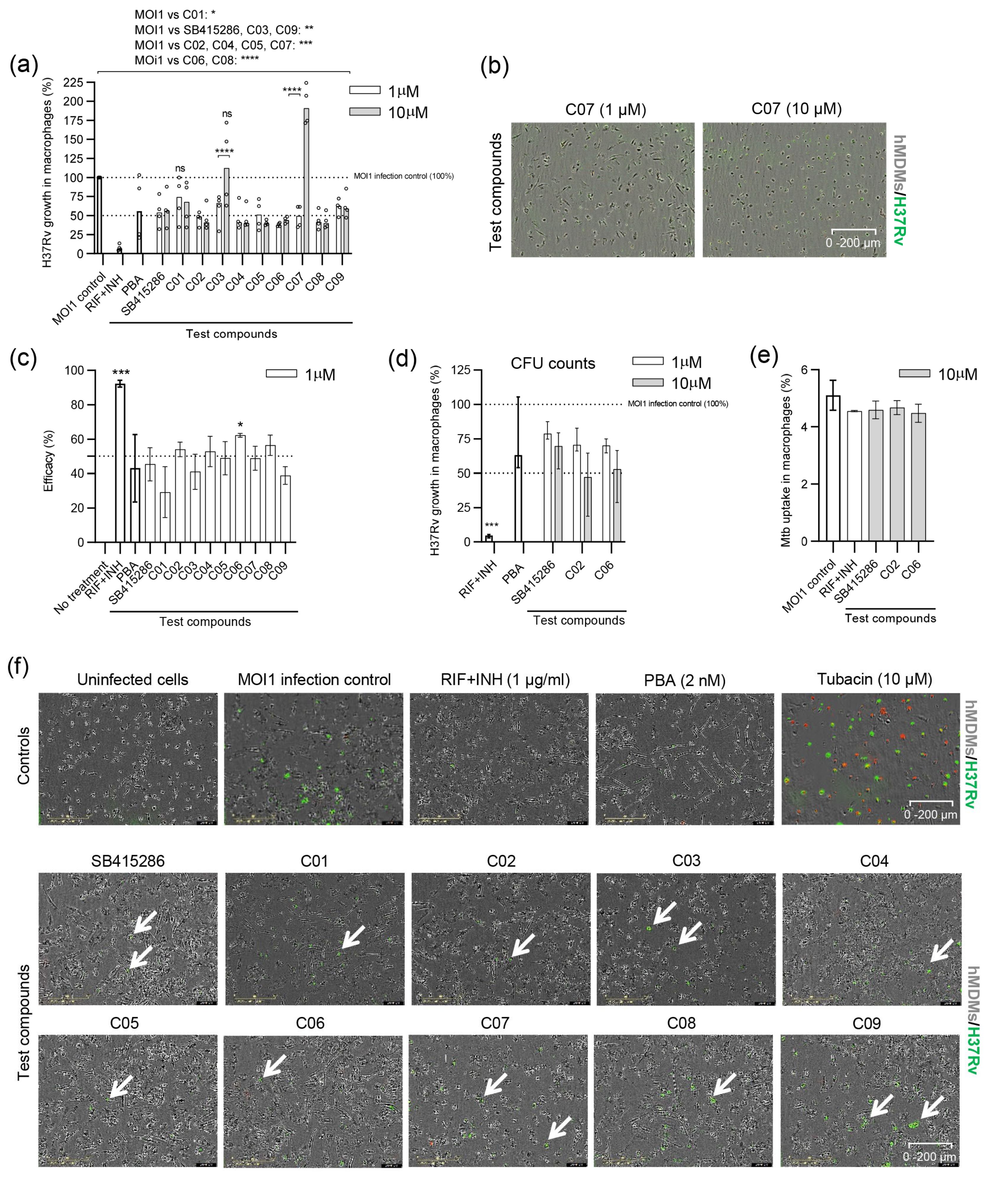 Biomolecules 15 00550 g003