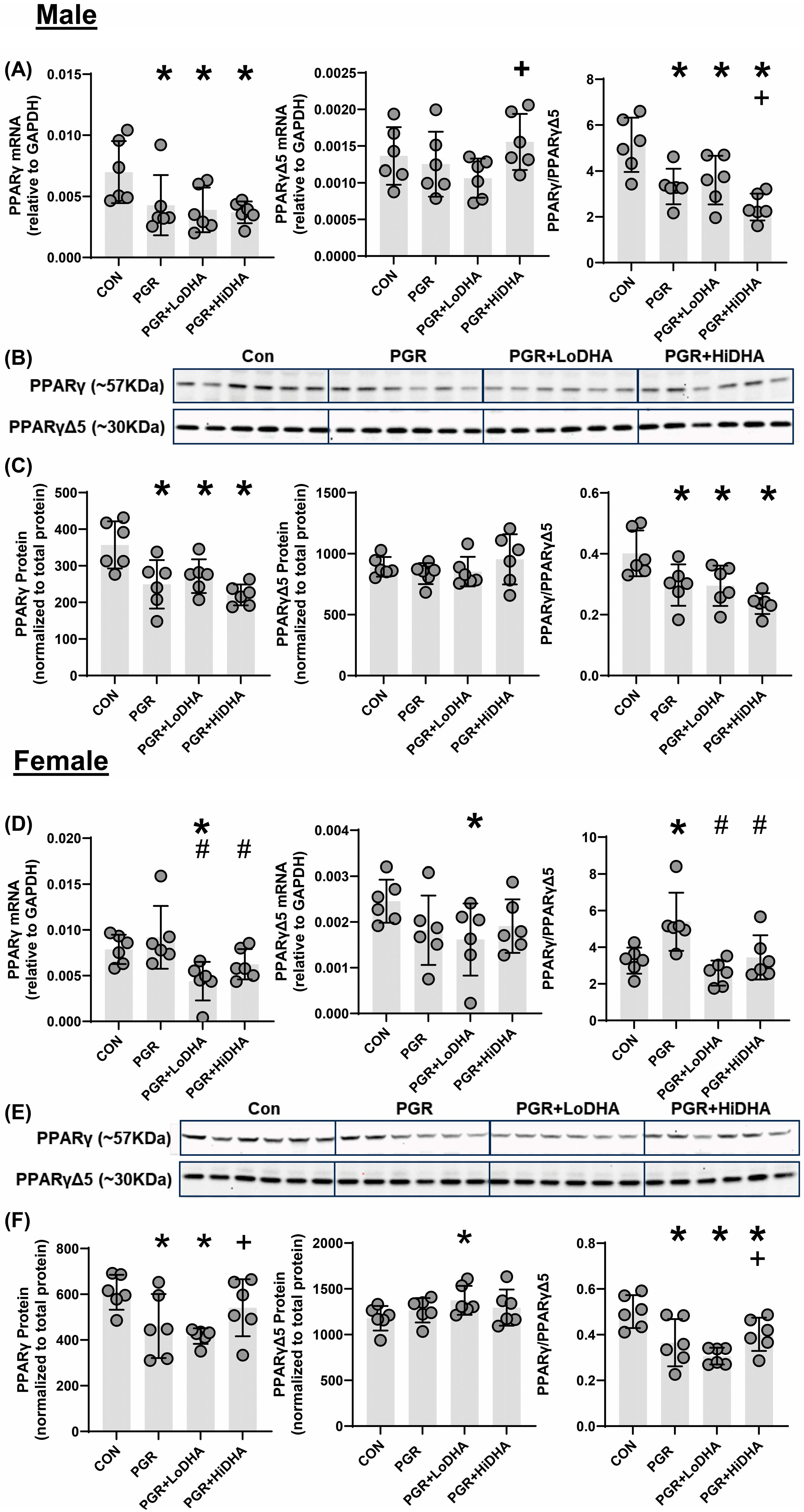 Biomolecules 15 00551 g003 Biomolecules 15 00551 g003