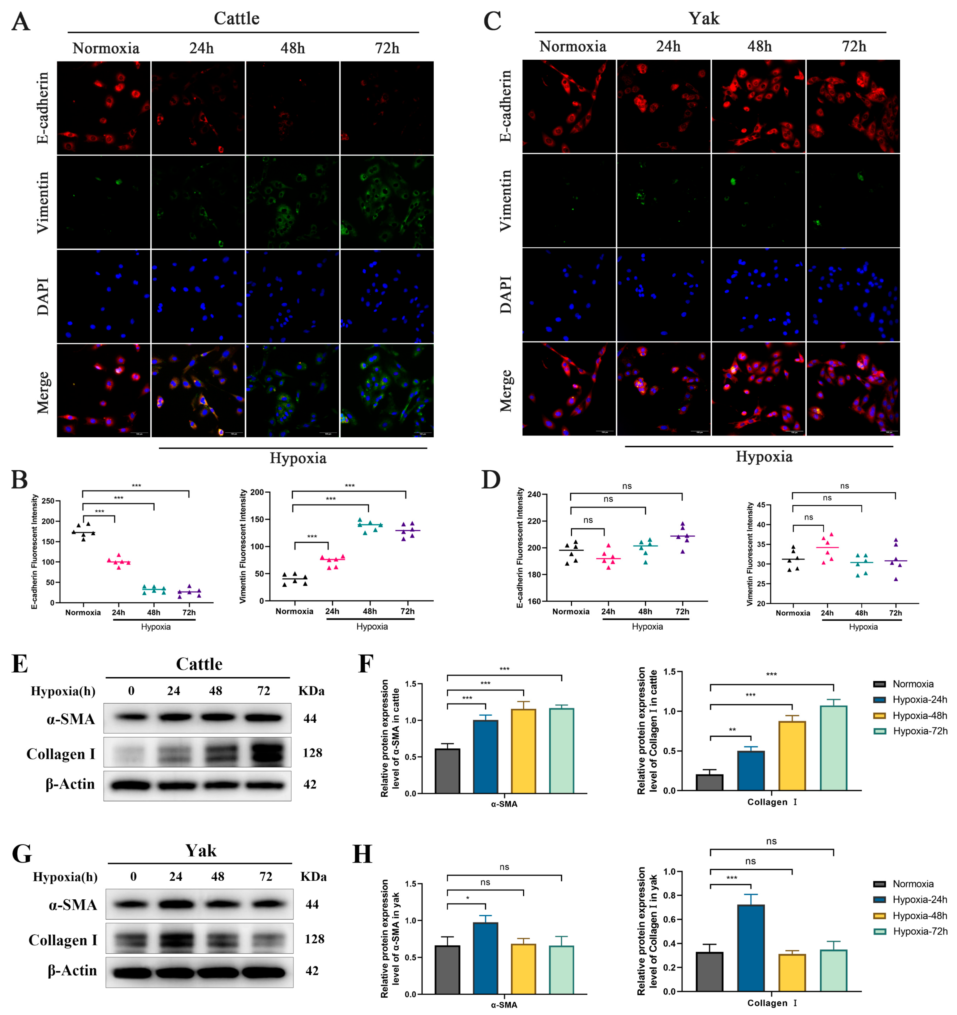 Biomolecules 15 00556 g002
