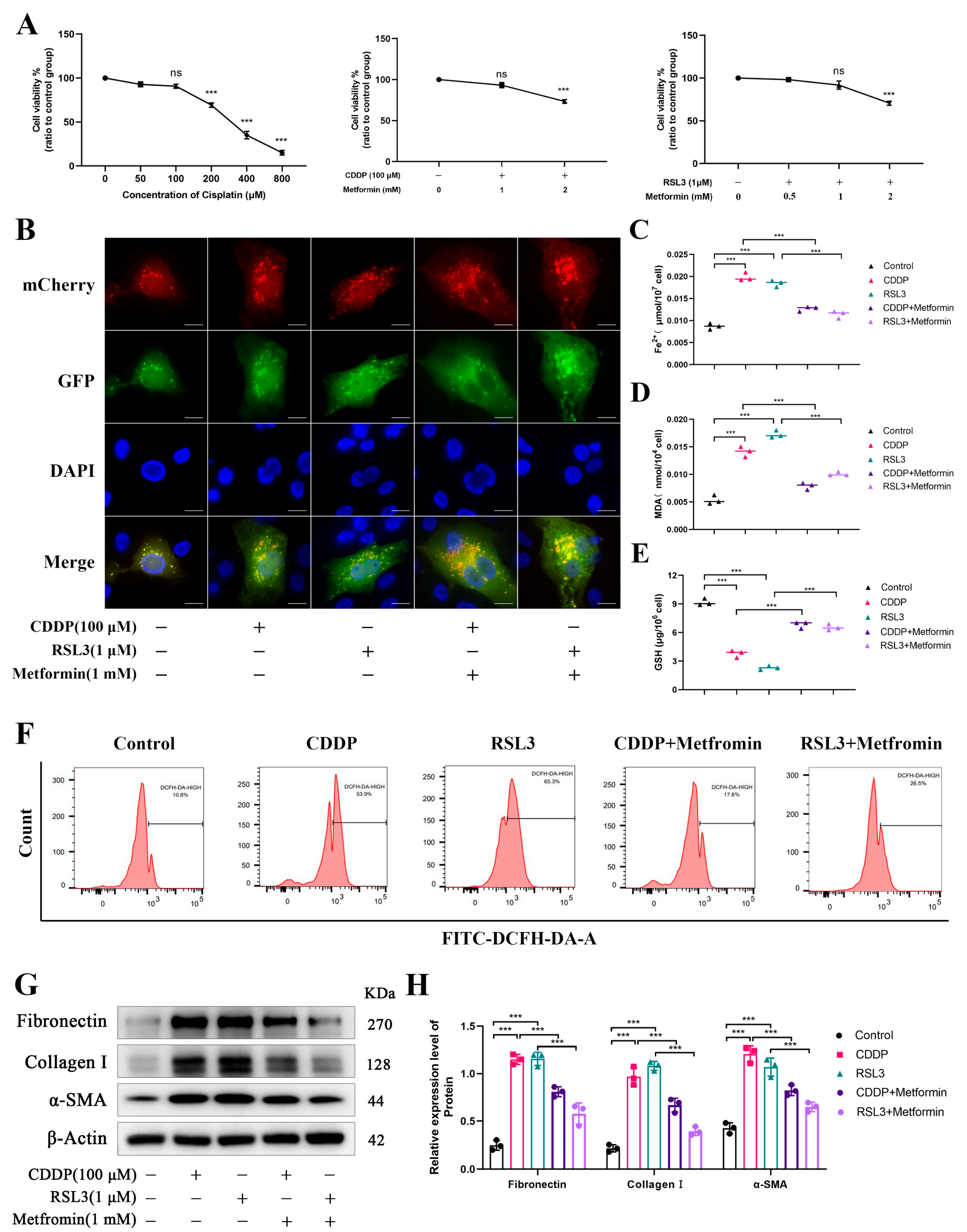 Biomolecules 15 00556 g007