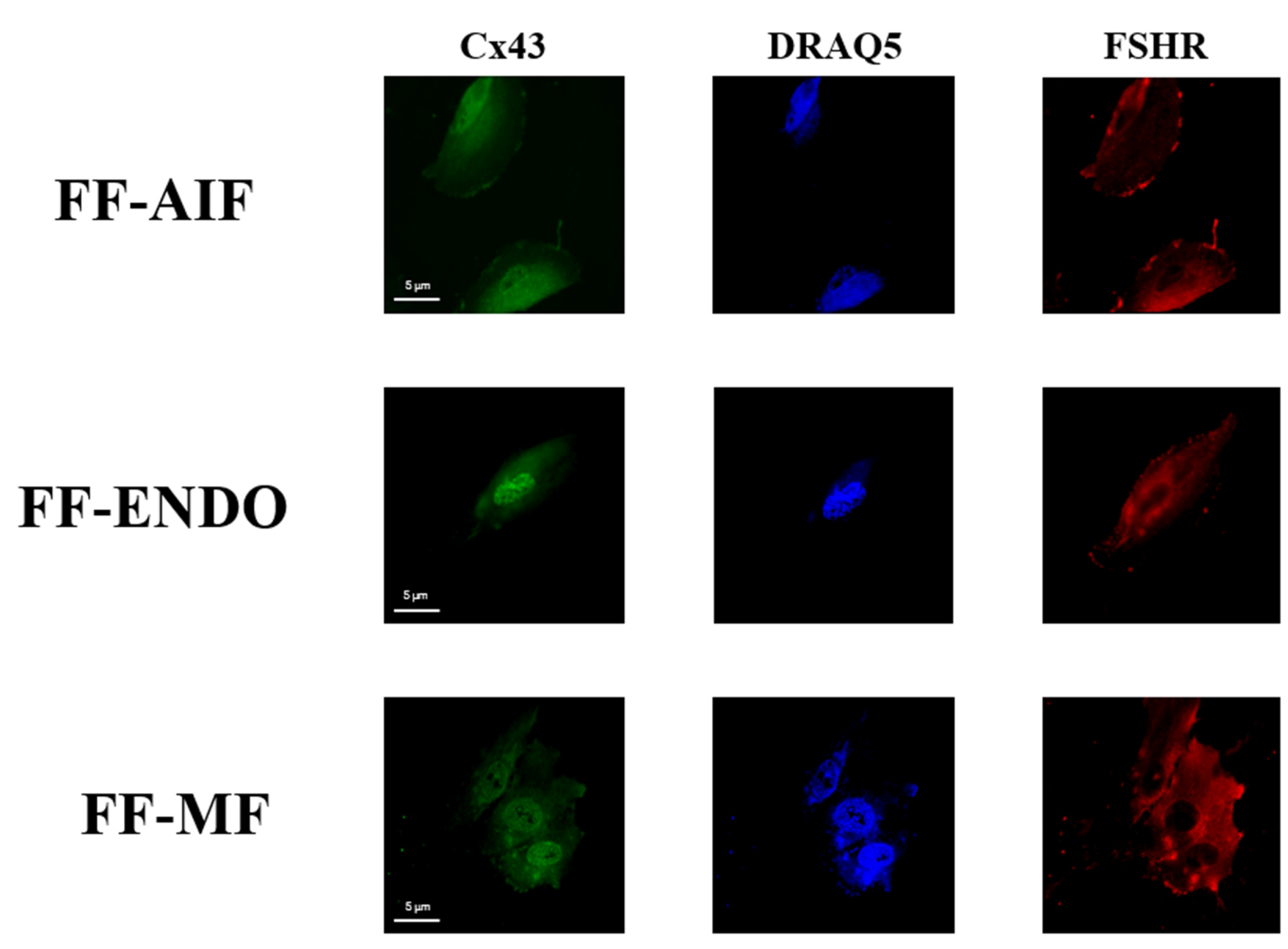 Biomolecules 15 00561 g008