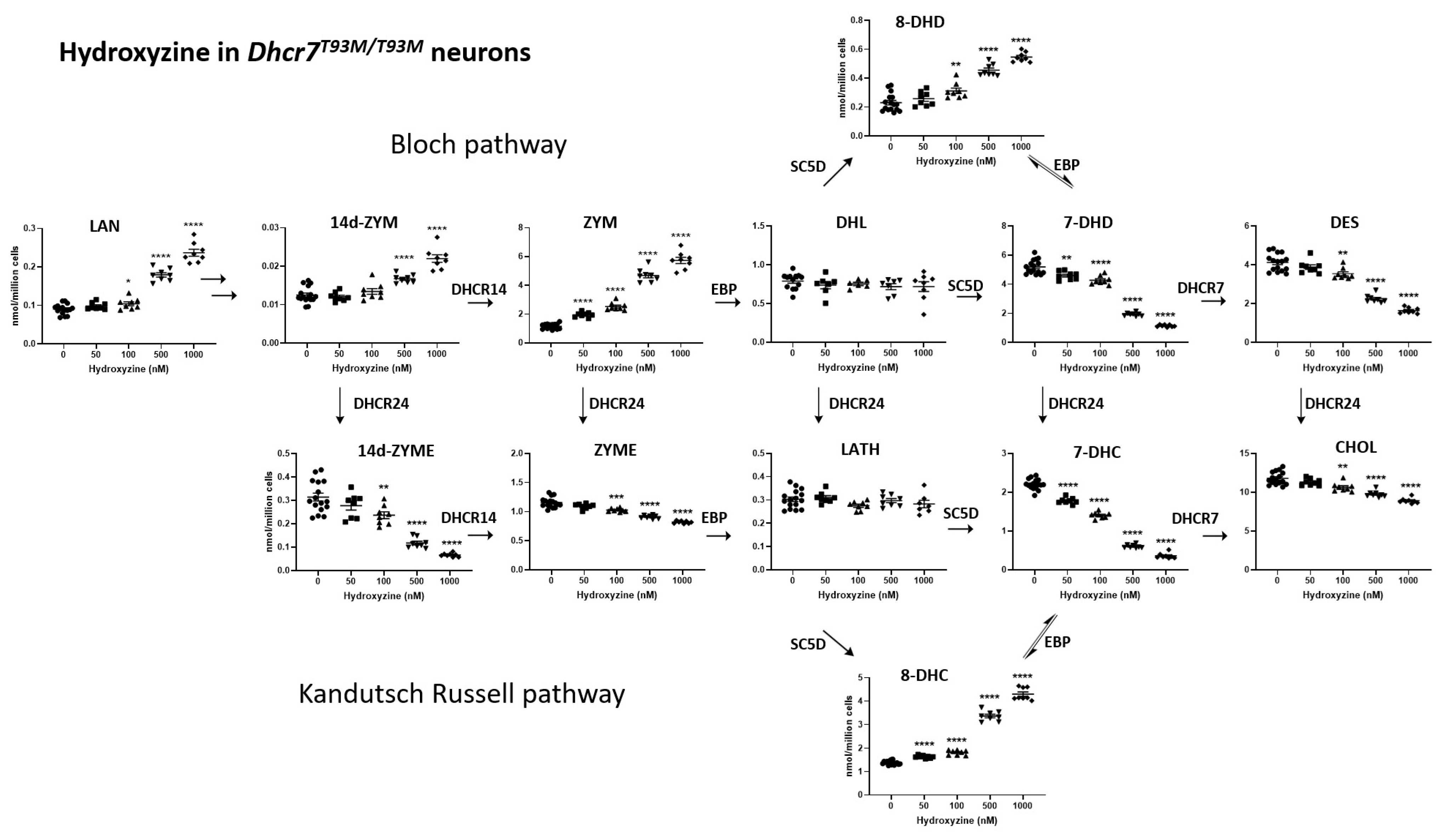 Biomolecules 15 00562 g002