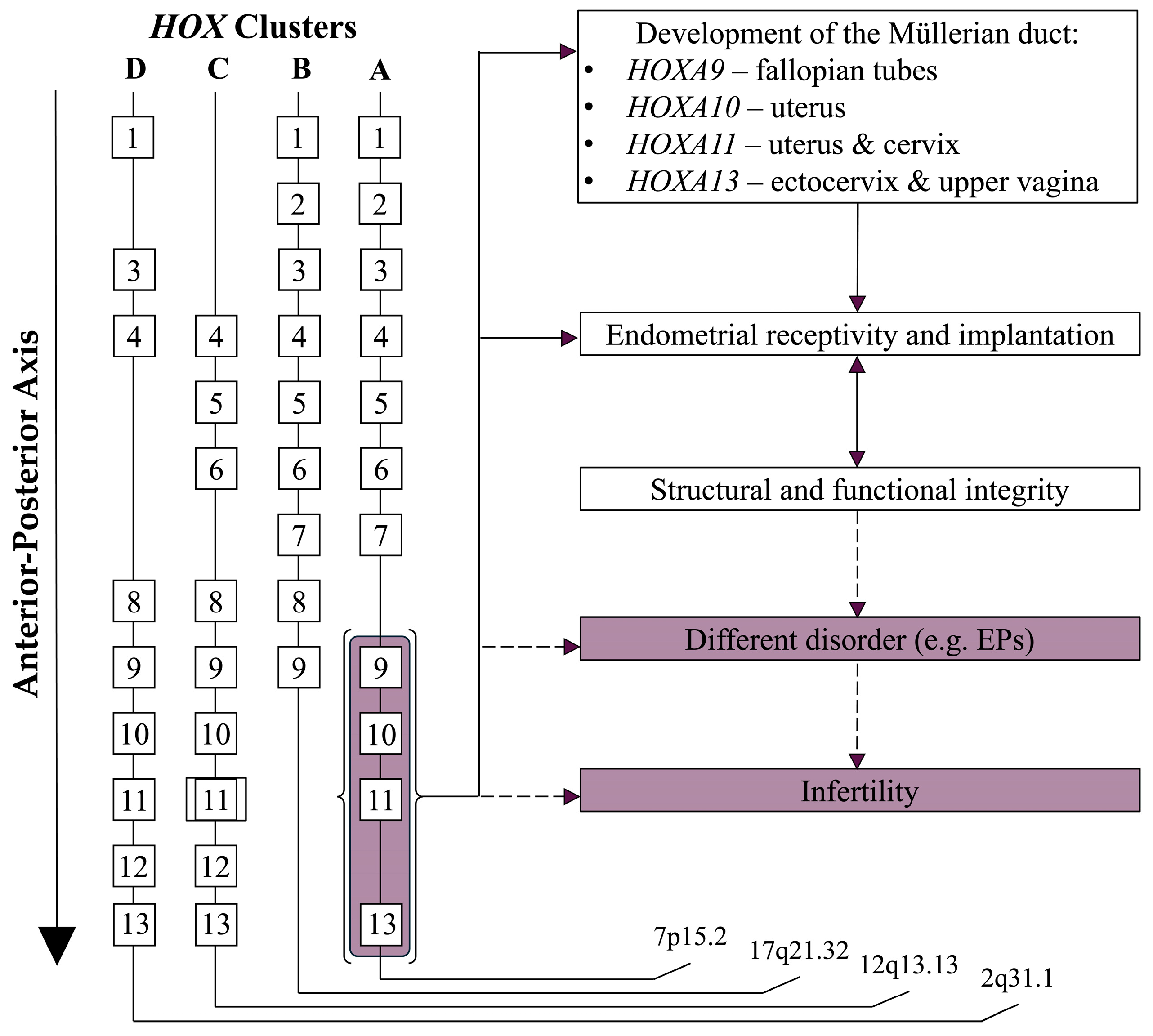 Biomolecules 15 00563 g002 Biomolecules 15 00563 g002