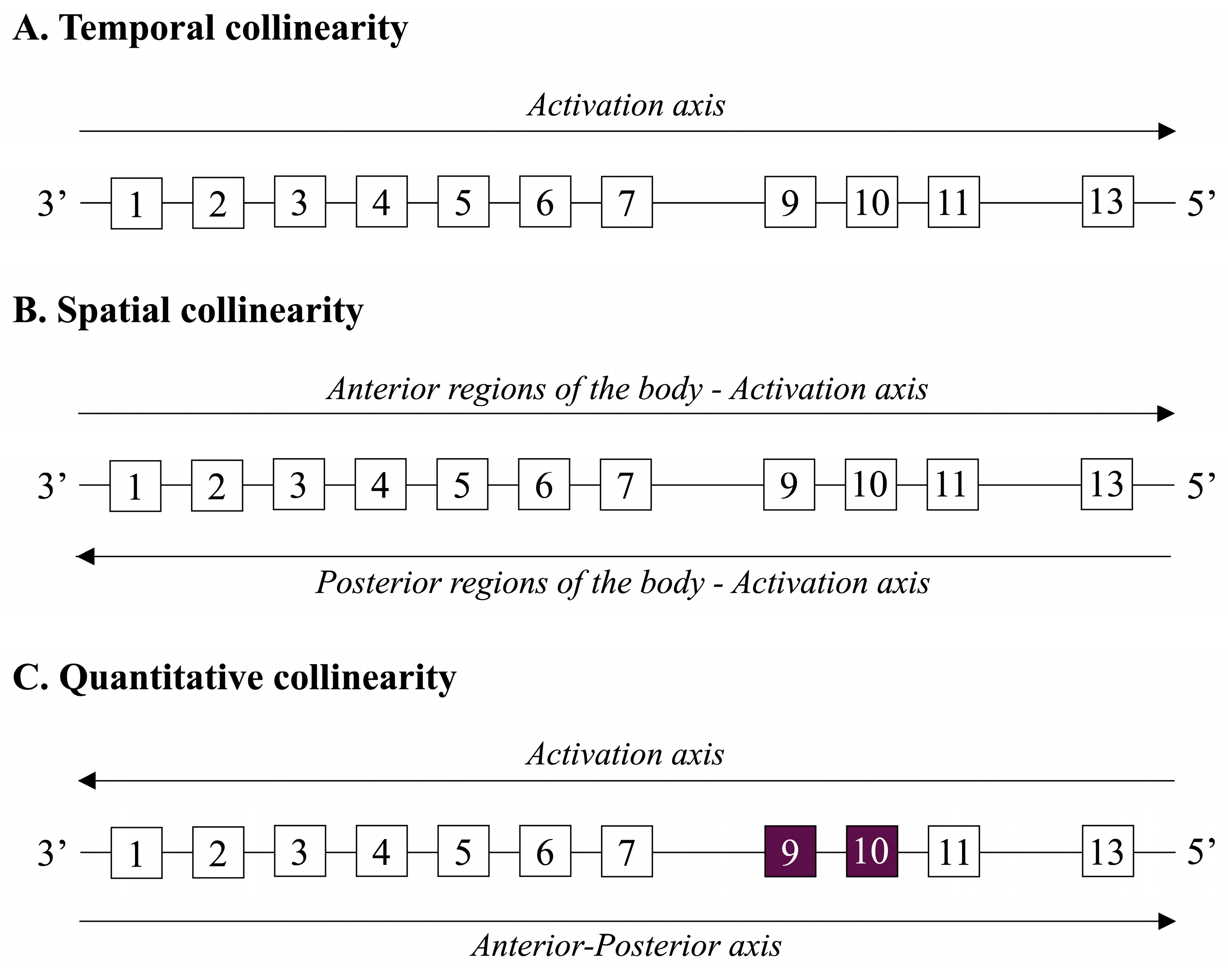 Biomolecules 15 00563 g003 Biomolecules 15 00563 g003