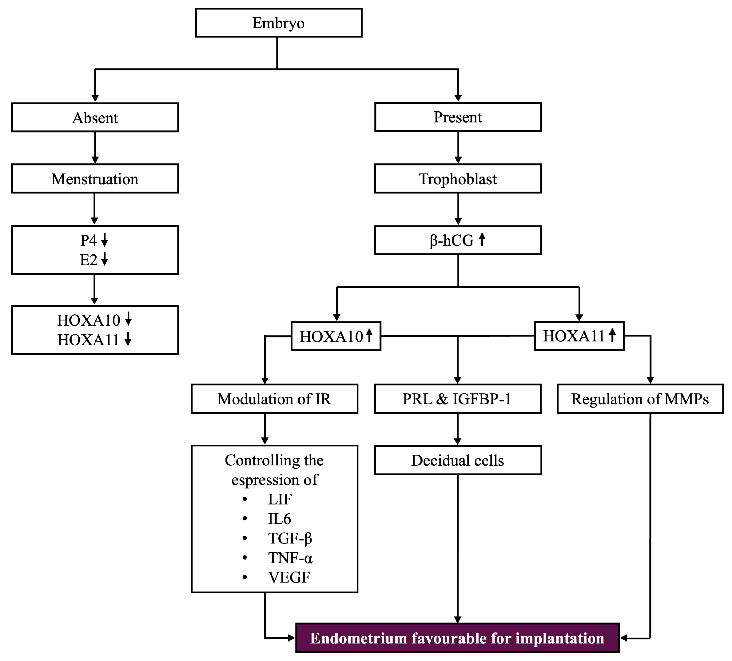 Biomolecules 15 00563 g005 Biomolecules 15 00563 g005