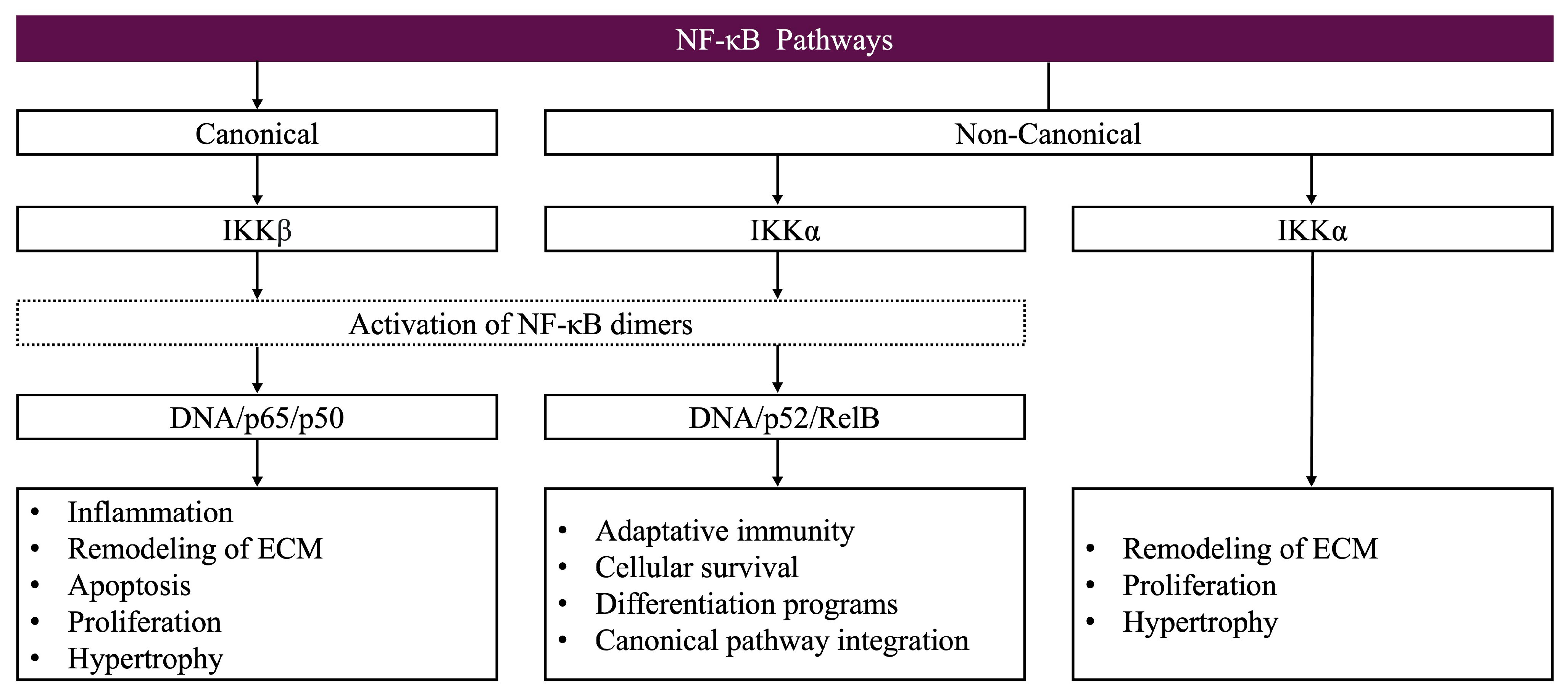 Biomolecules 15 00563 g006 Biomolecules 15 00563 g006