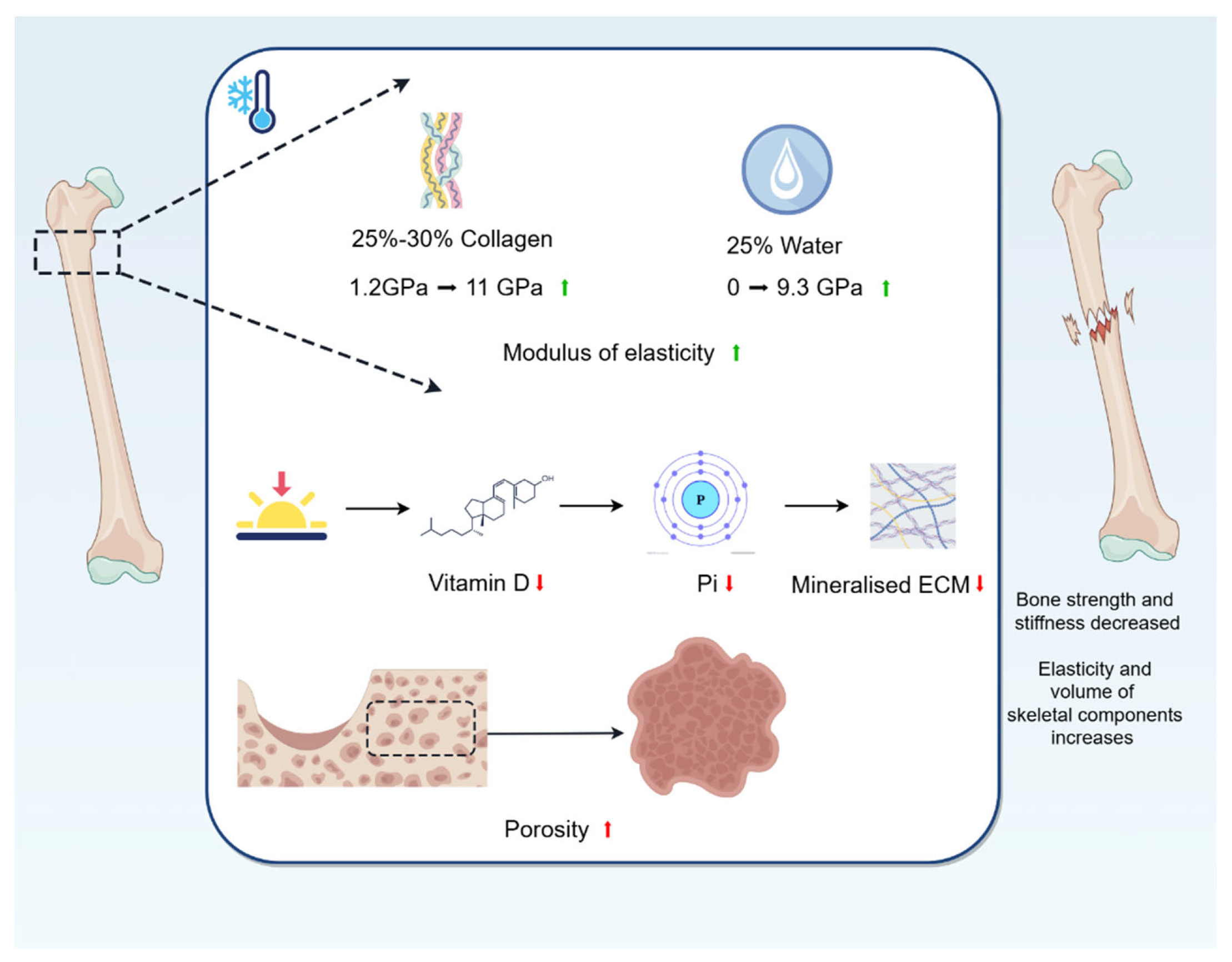 Biomolecules 15 00564 g002 Biomolecules 15 00564 g002