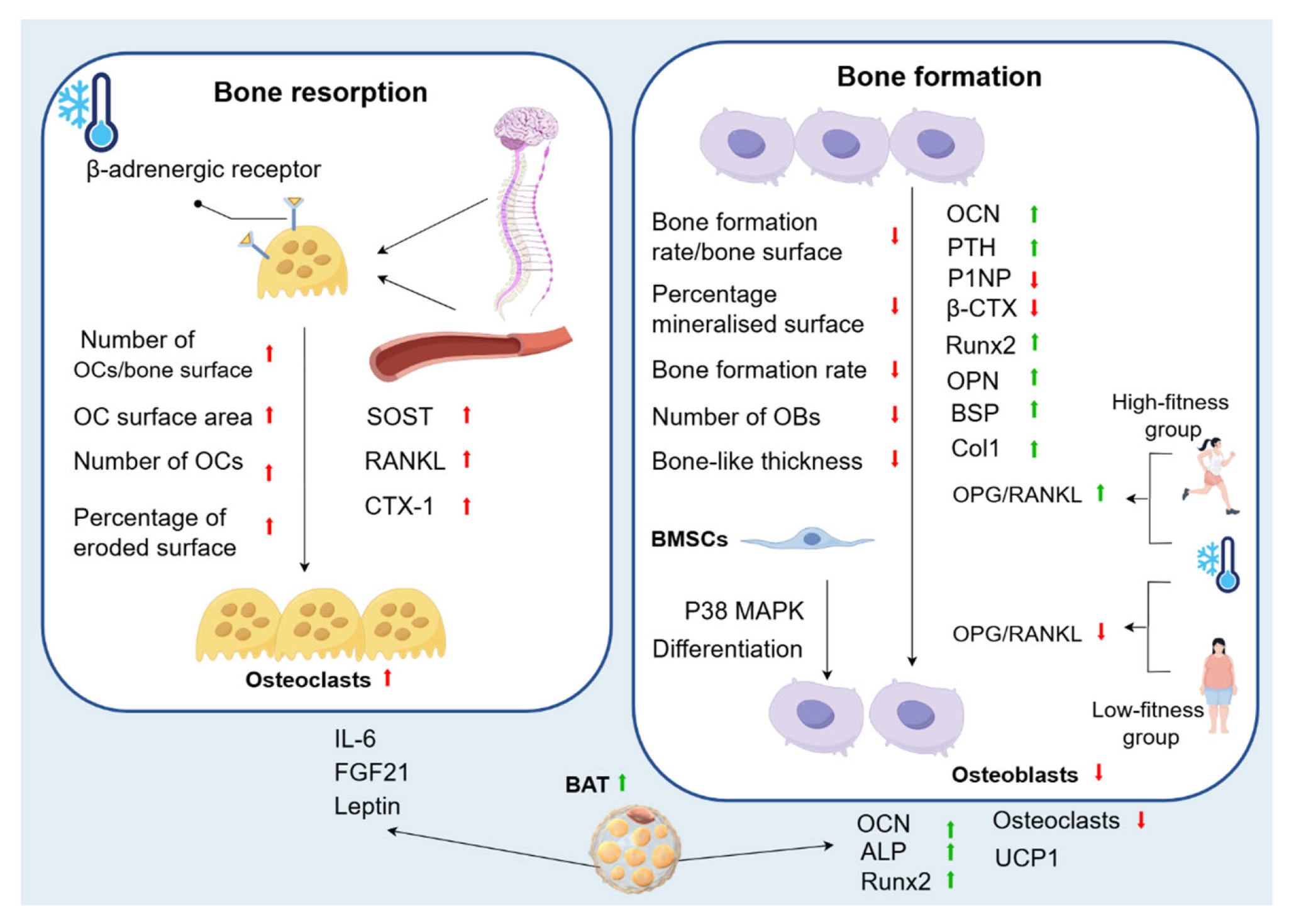 Biomolecules 15 00564 g003 Biomolecules 15 00564 g003