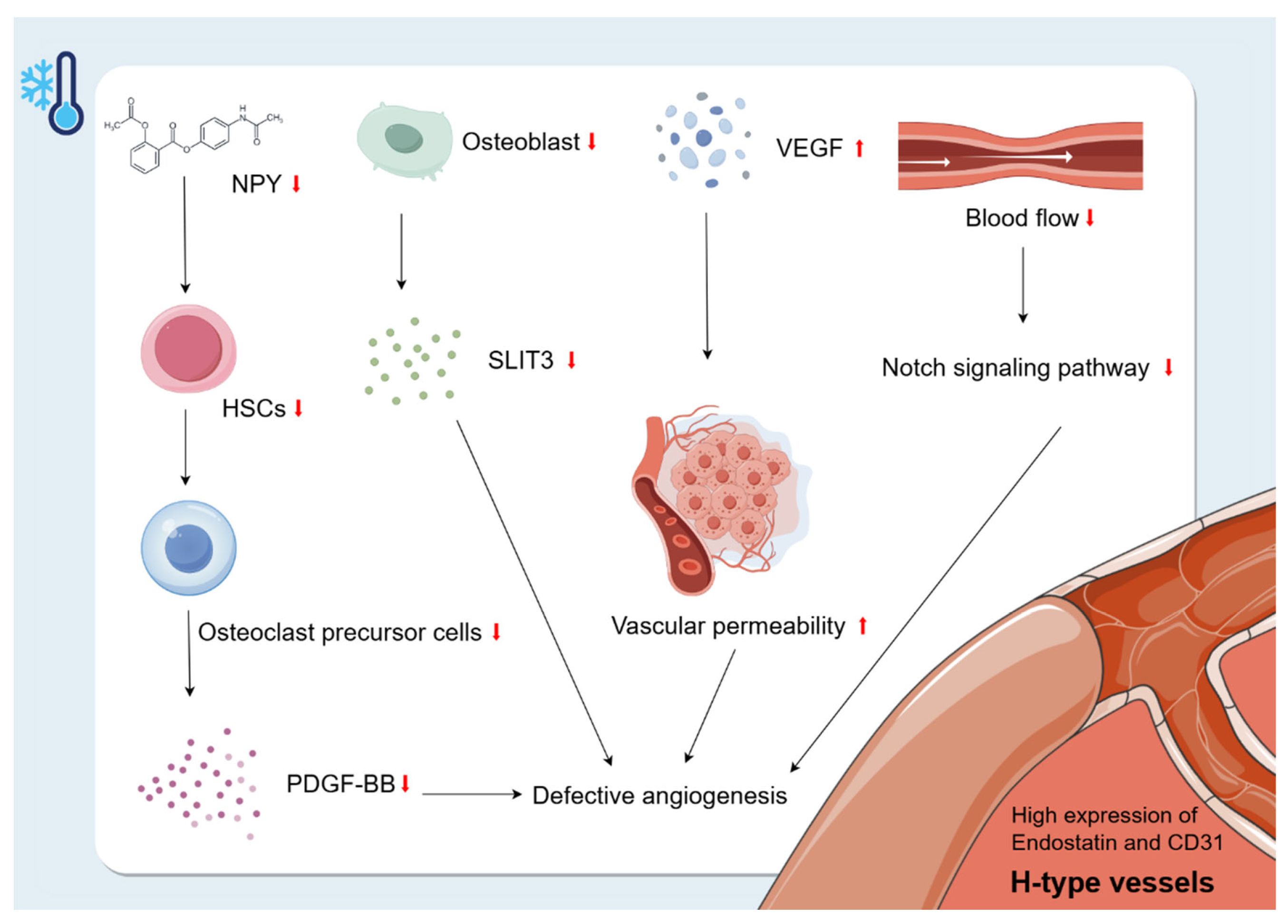 Biomolecules 15 00564 g005 Biomolecules 15 00564 g005
