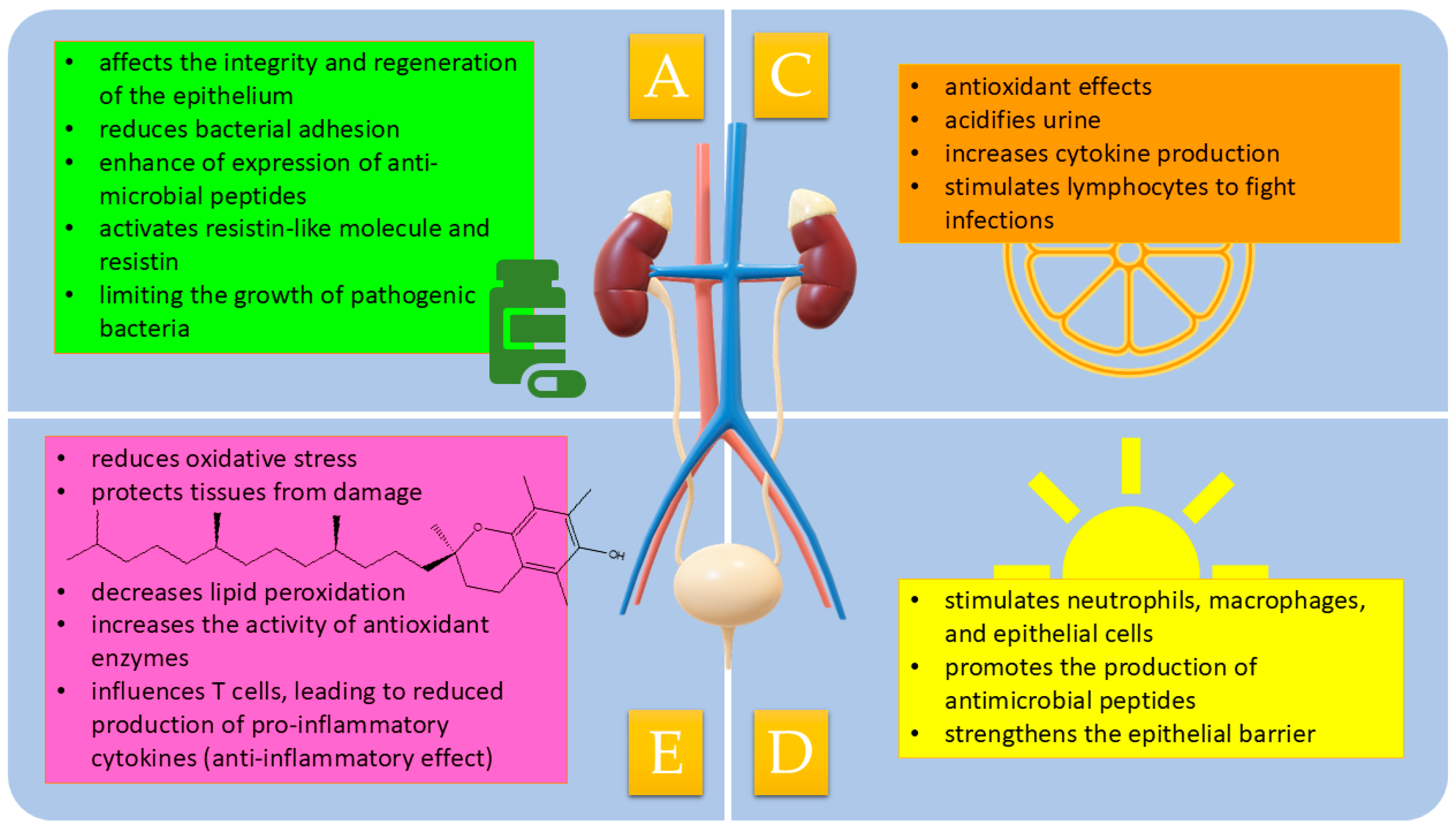 Biomolecules 15 00566 g001