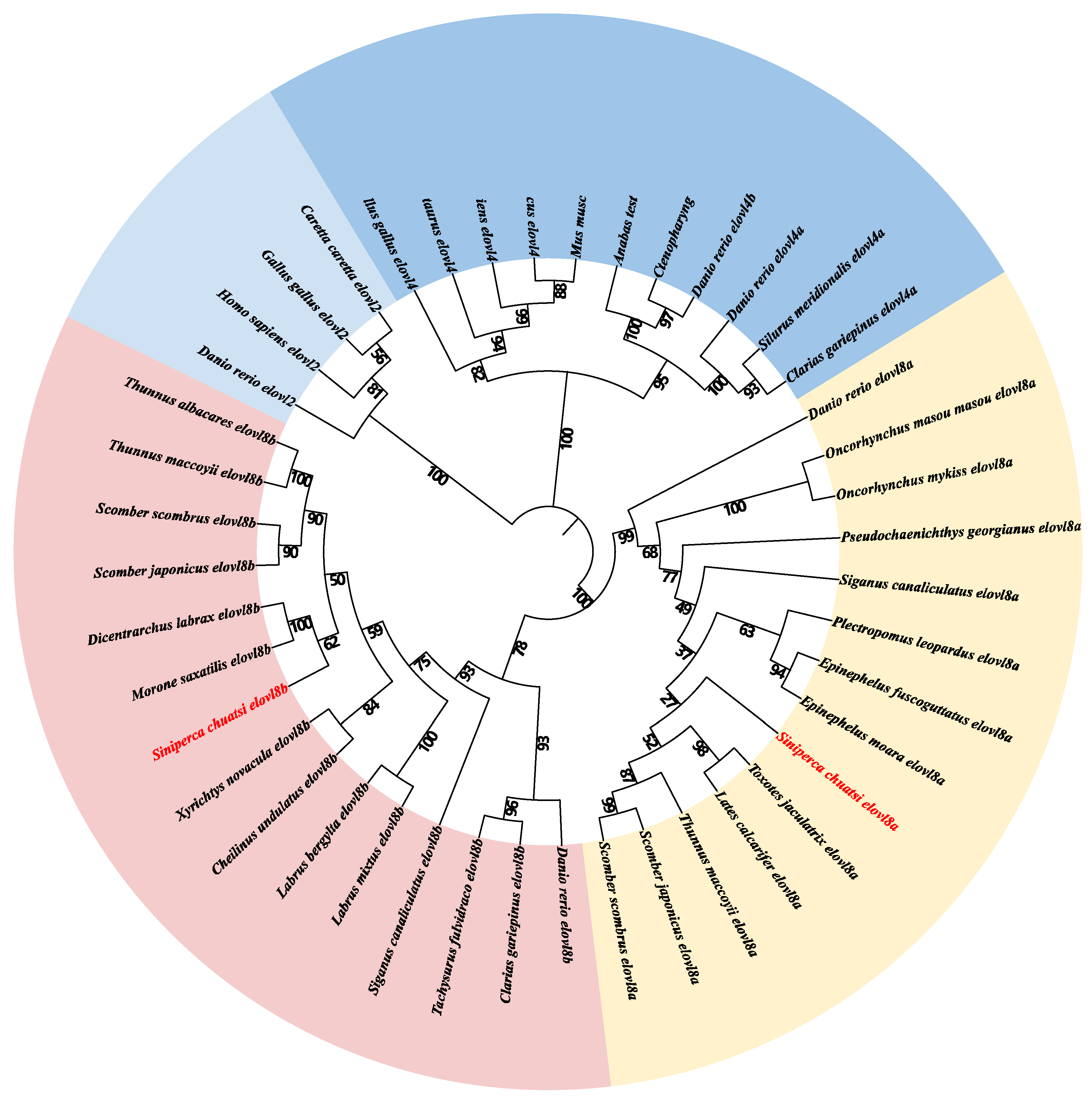 Biomolecules 15 00567 g003
