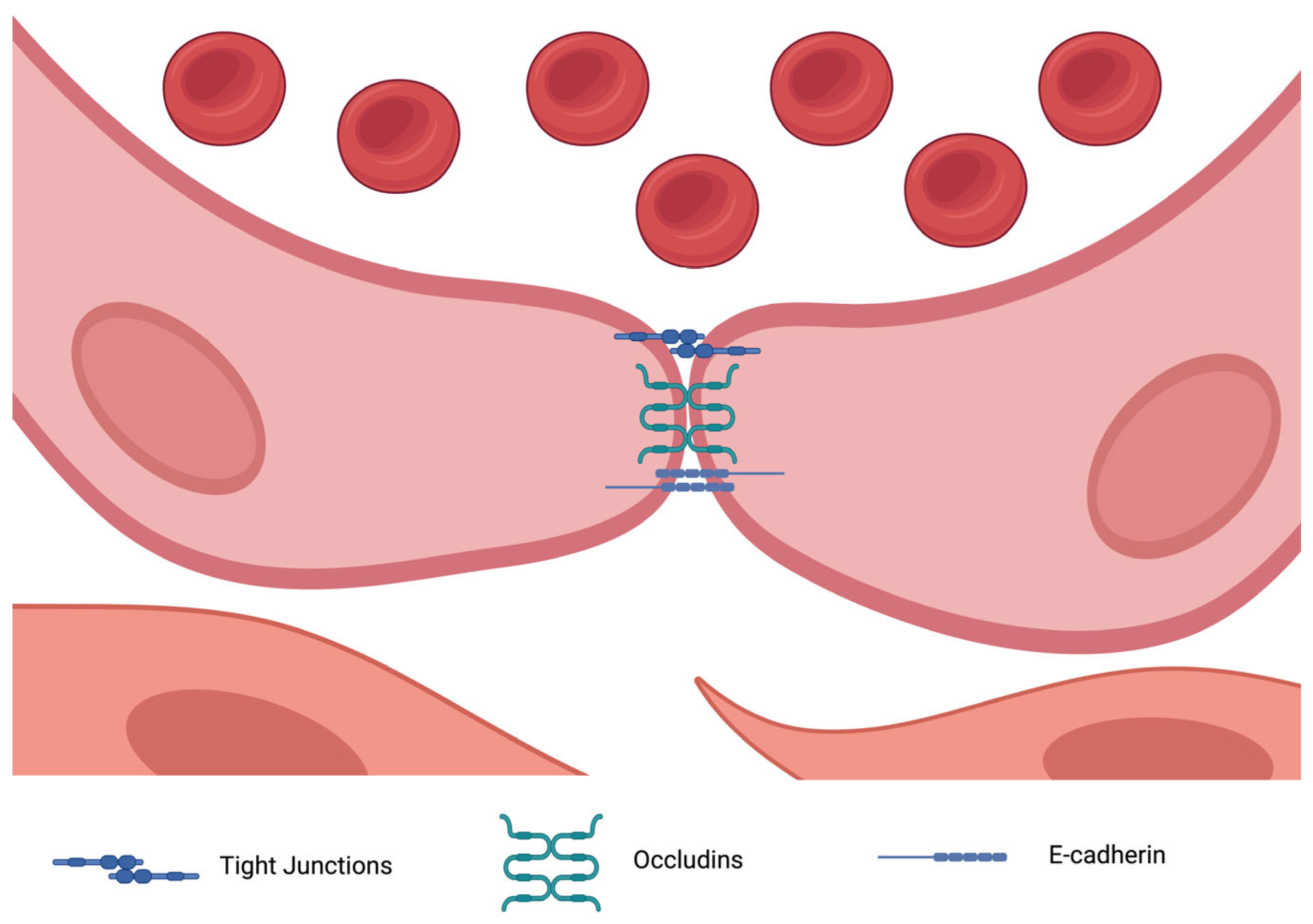 Biomolecules 15 00568 g002