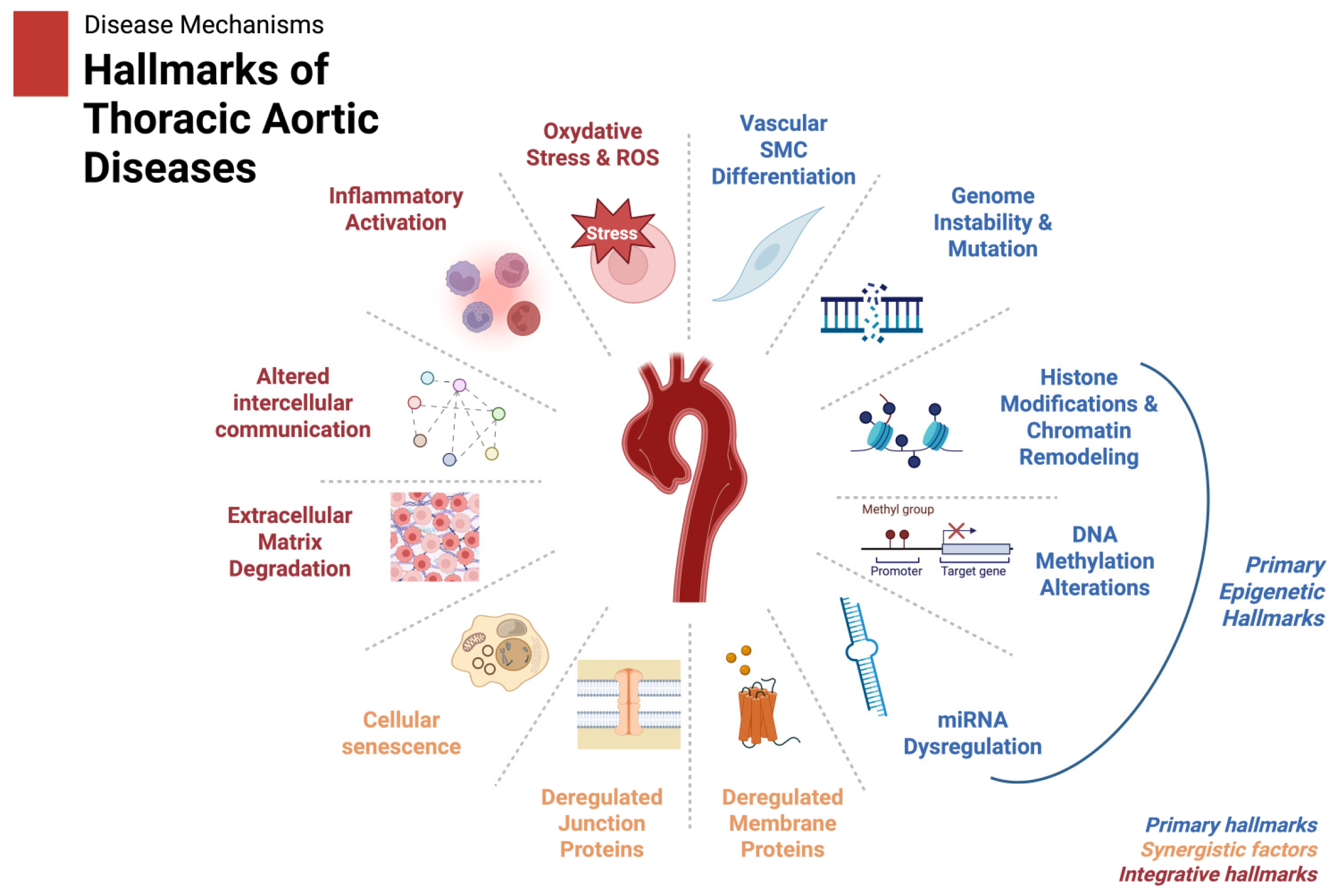 Biomolecules 15 00568 g003