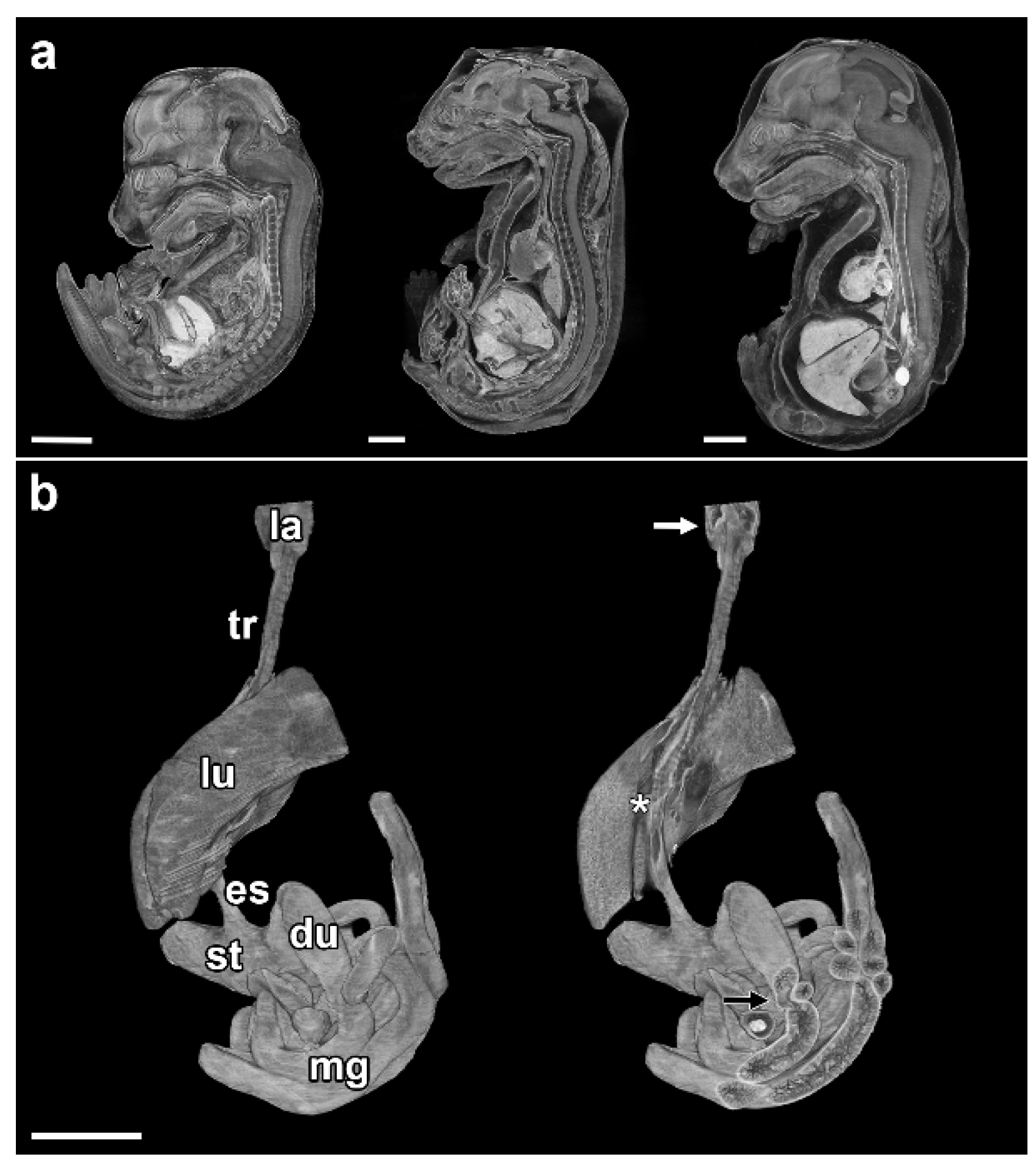 Biomolecules 15 00569 g001