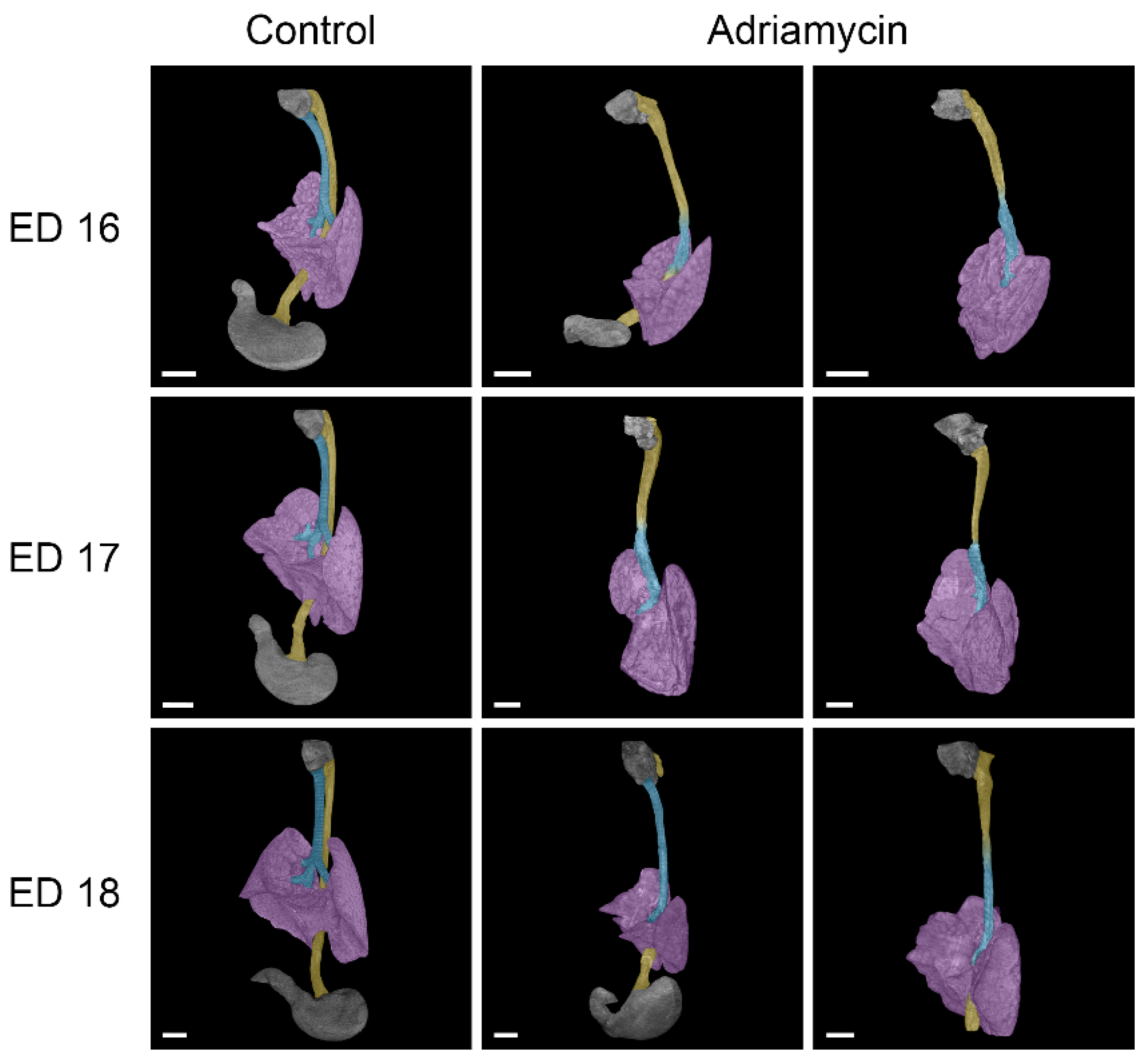 Biomolecules 15 00569 g002