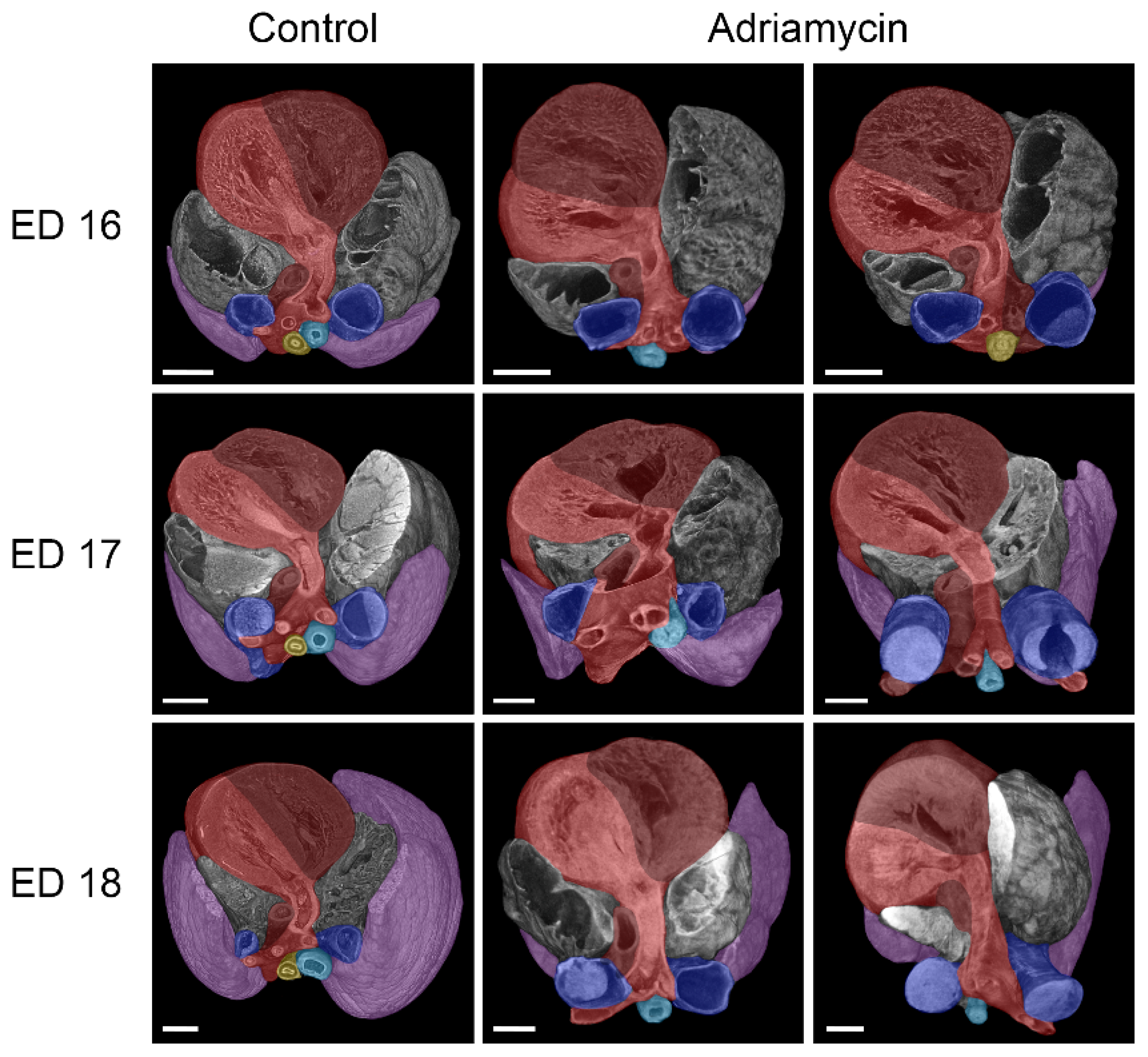 Biomolecules 15 00569 g005
