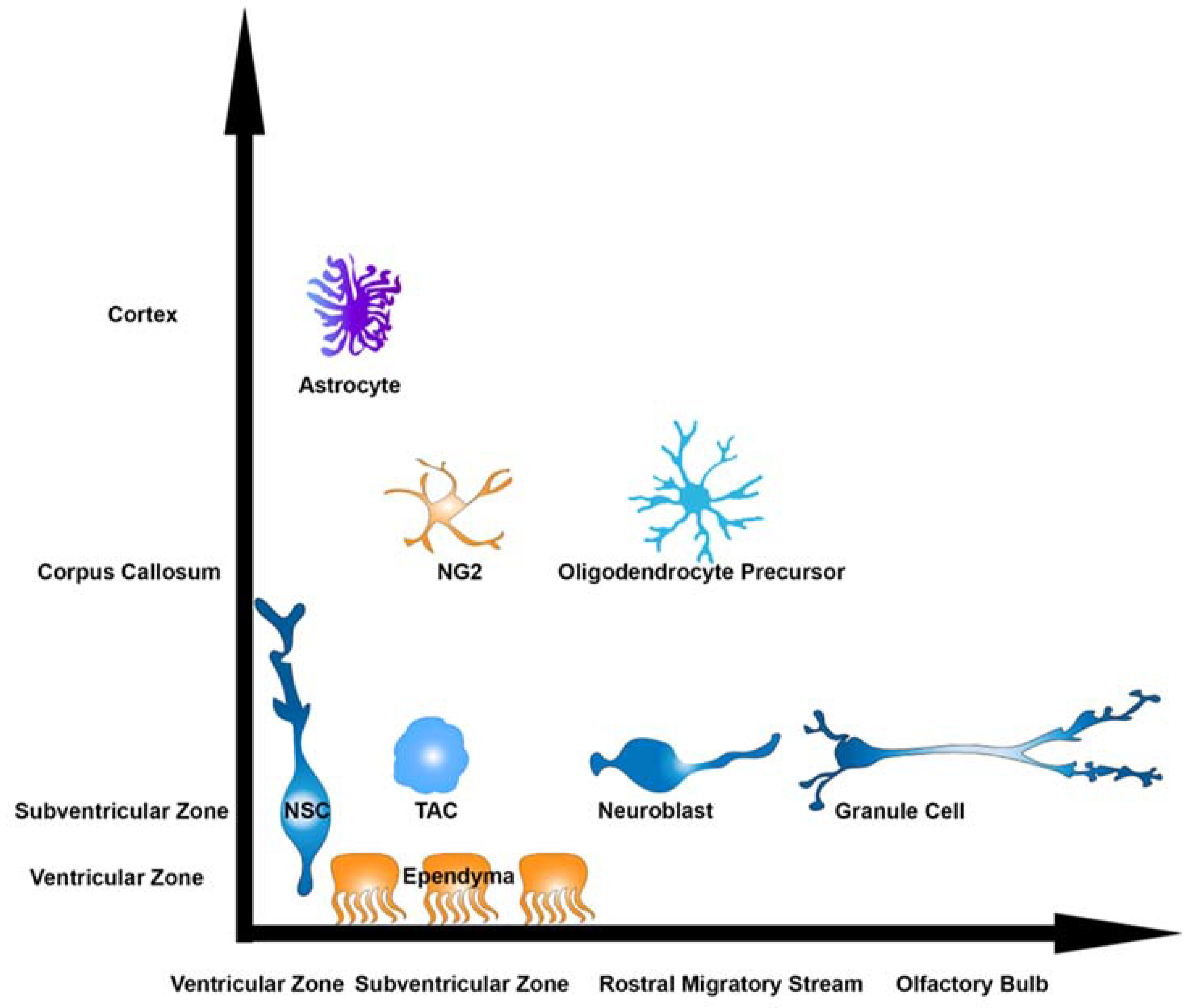 Biomolecules 15 00573 g001