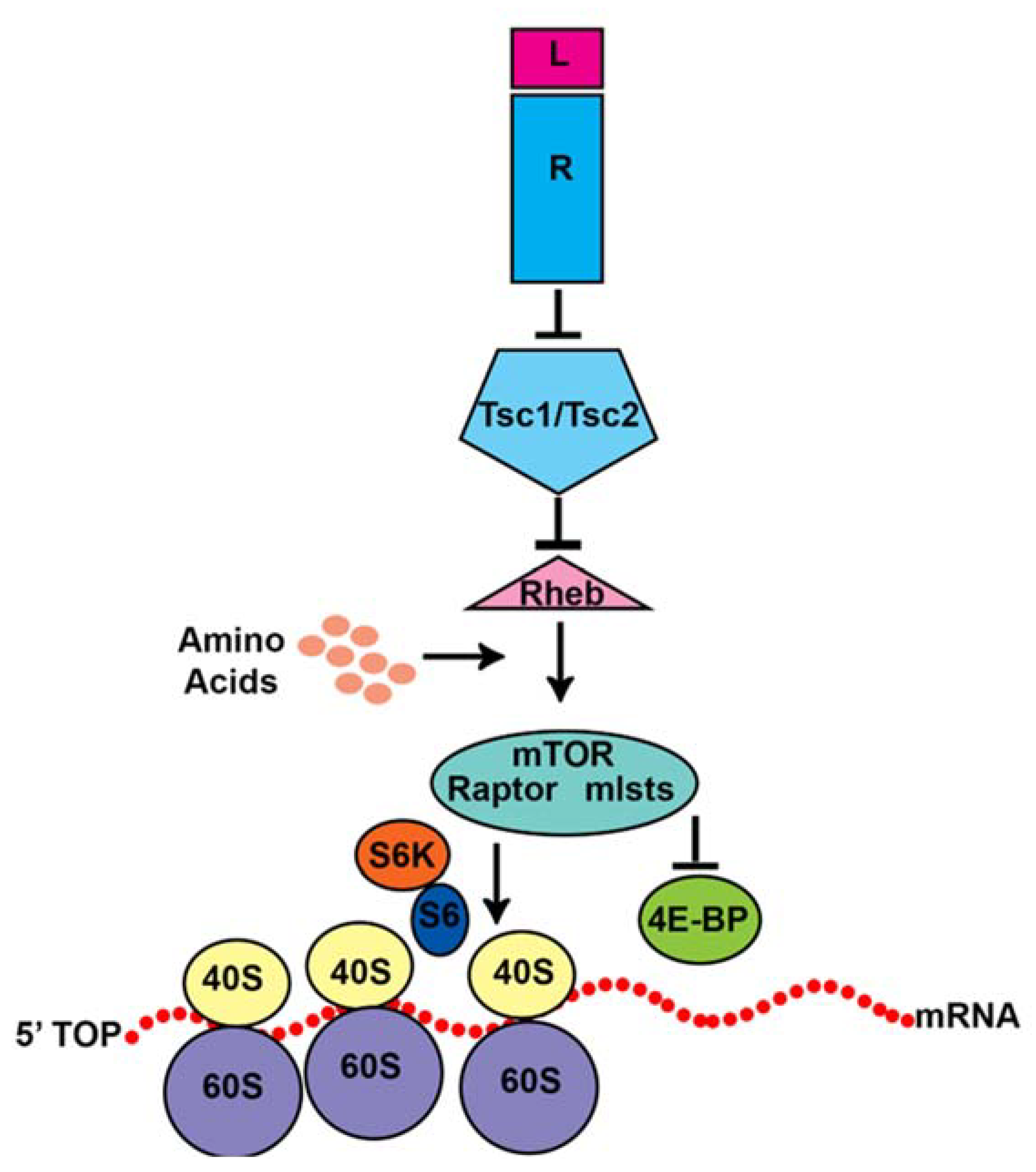 Biomolecules 15 00573 g005