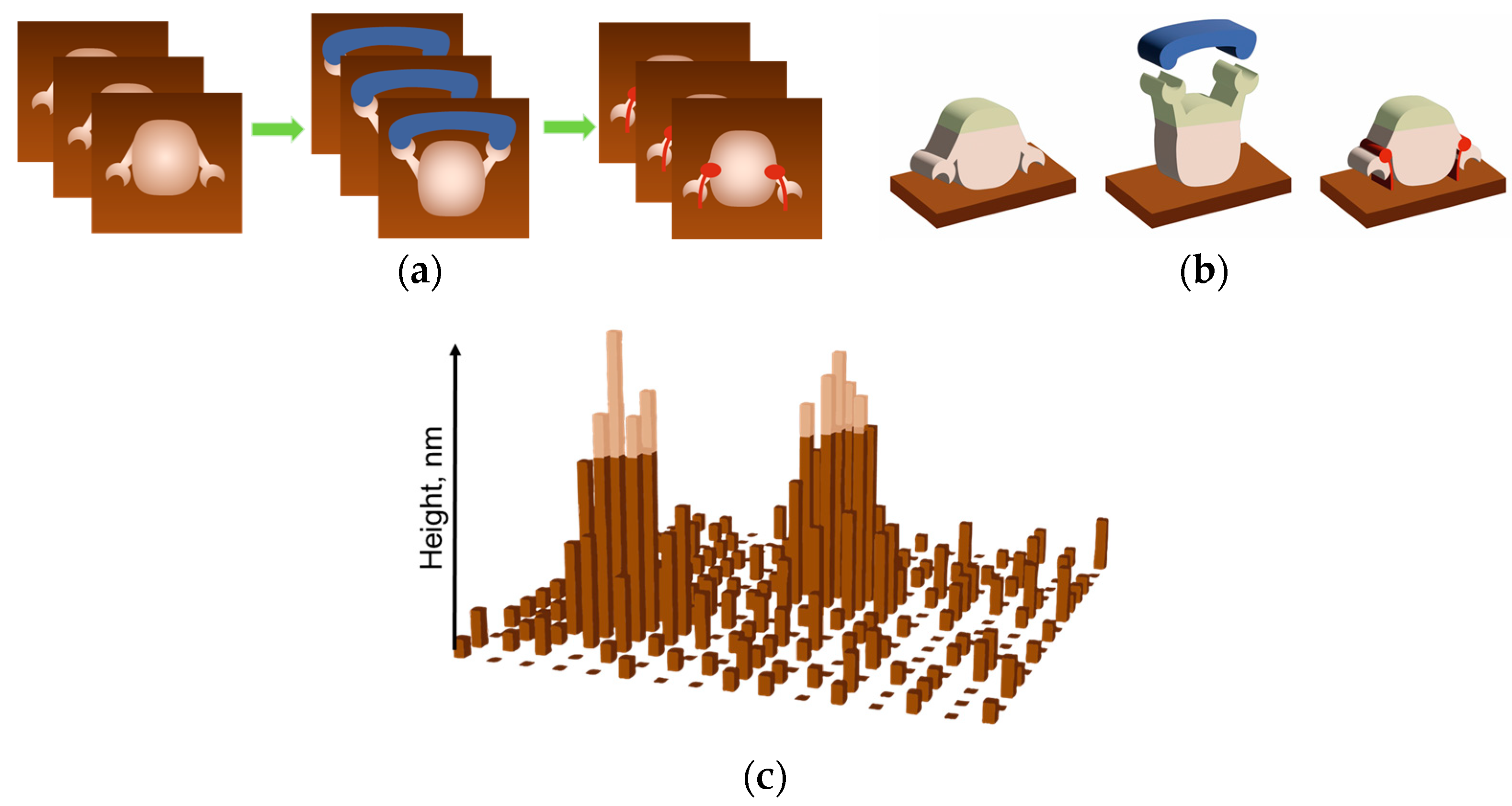 Biomolecules 15 00574 g008 Biomolecules 15 00574 g008