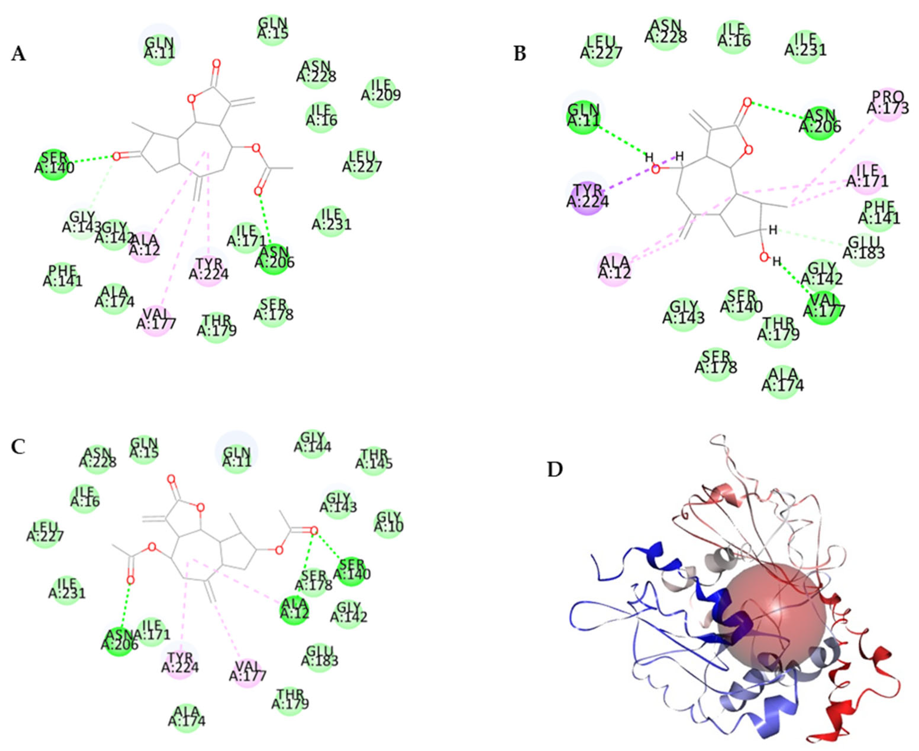 Biomolecules 15 00578 g002