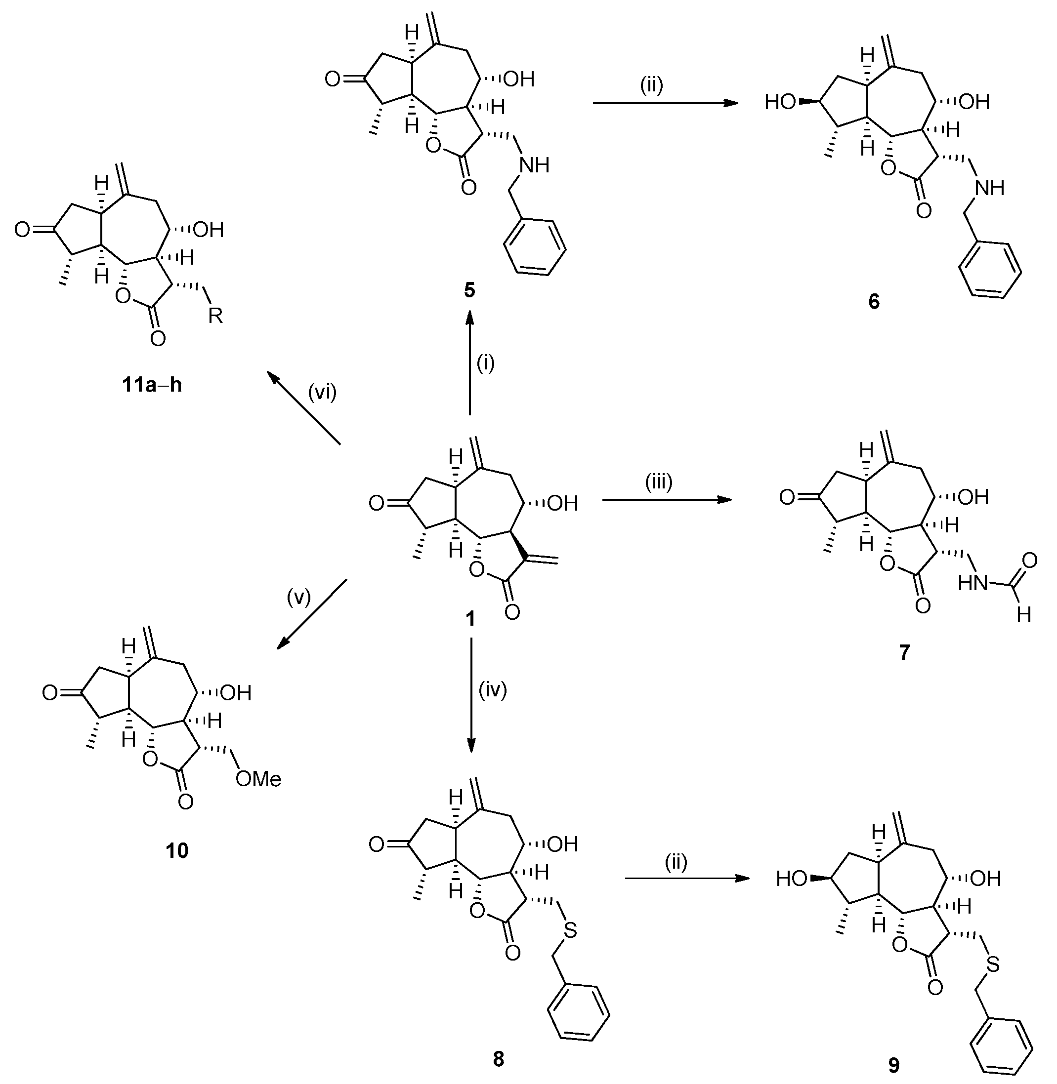 Biomolecules 15 00578 sch002