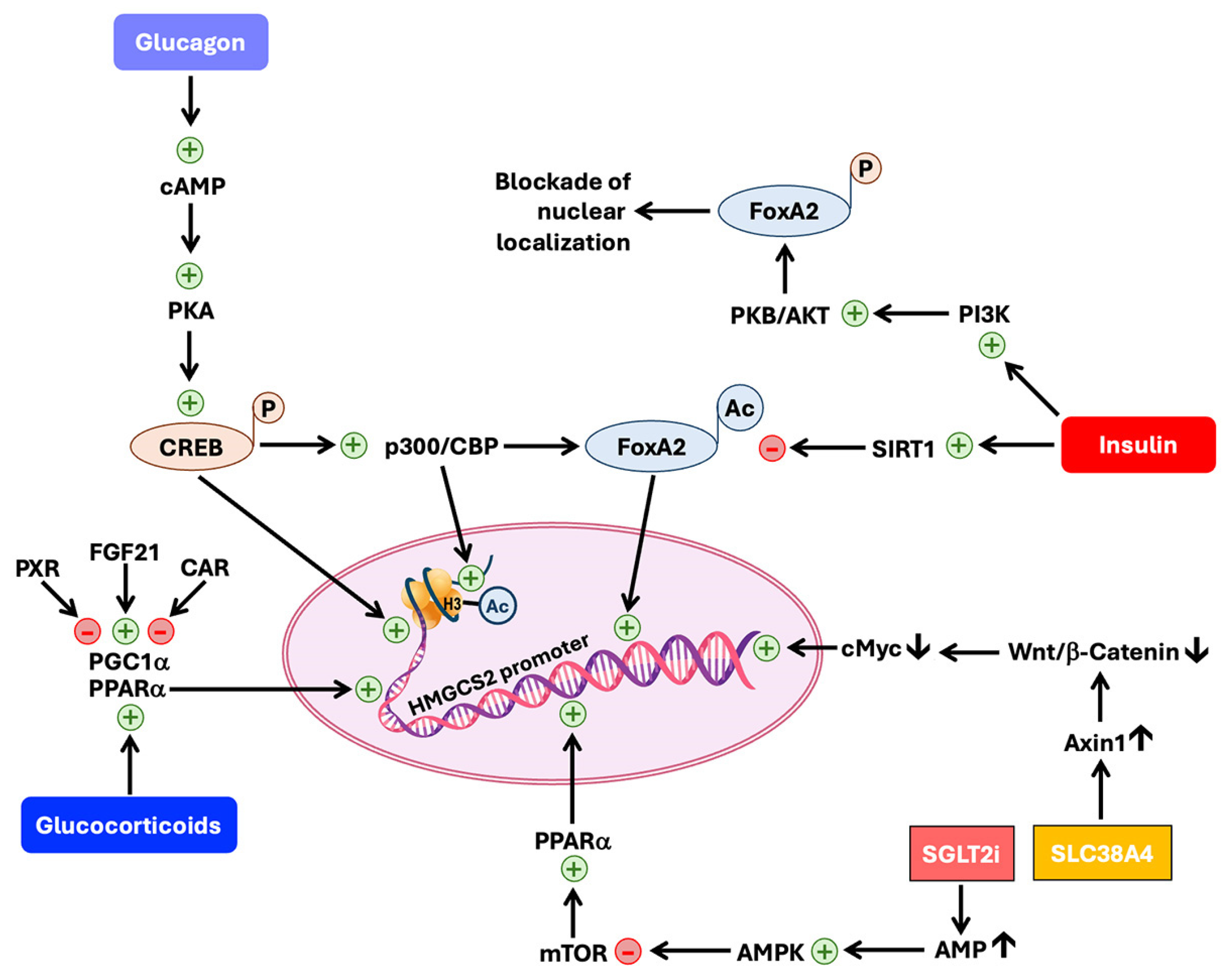 Biomolecules 15 00580 g003