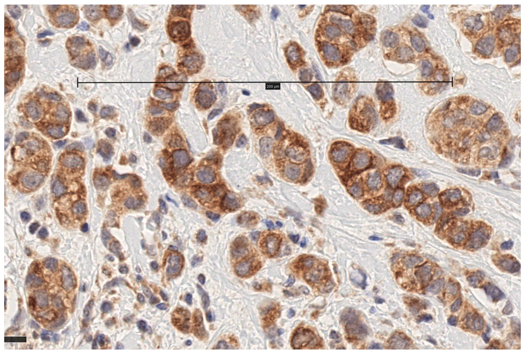 Biomolecules 15 00581 g001